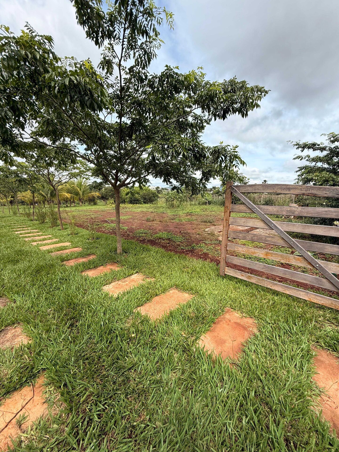 Sítio, 1300 m² - Foto 2