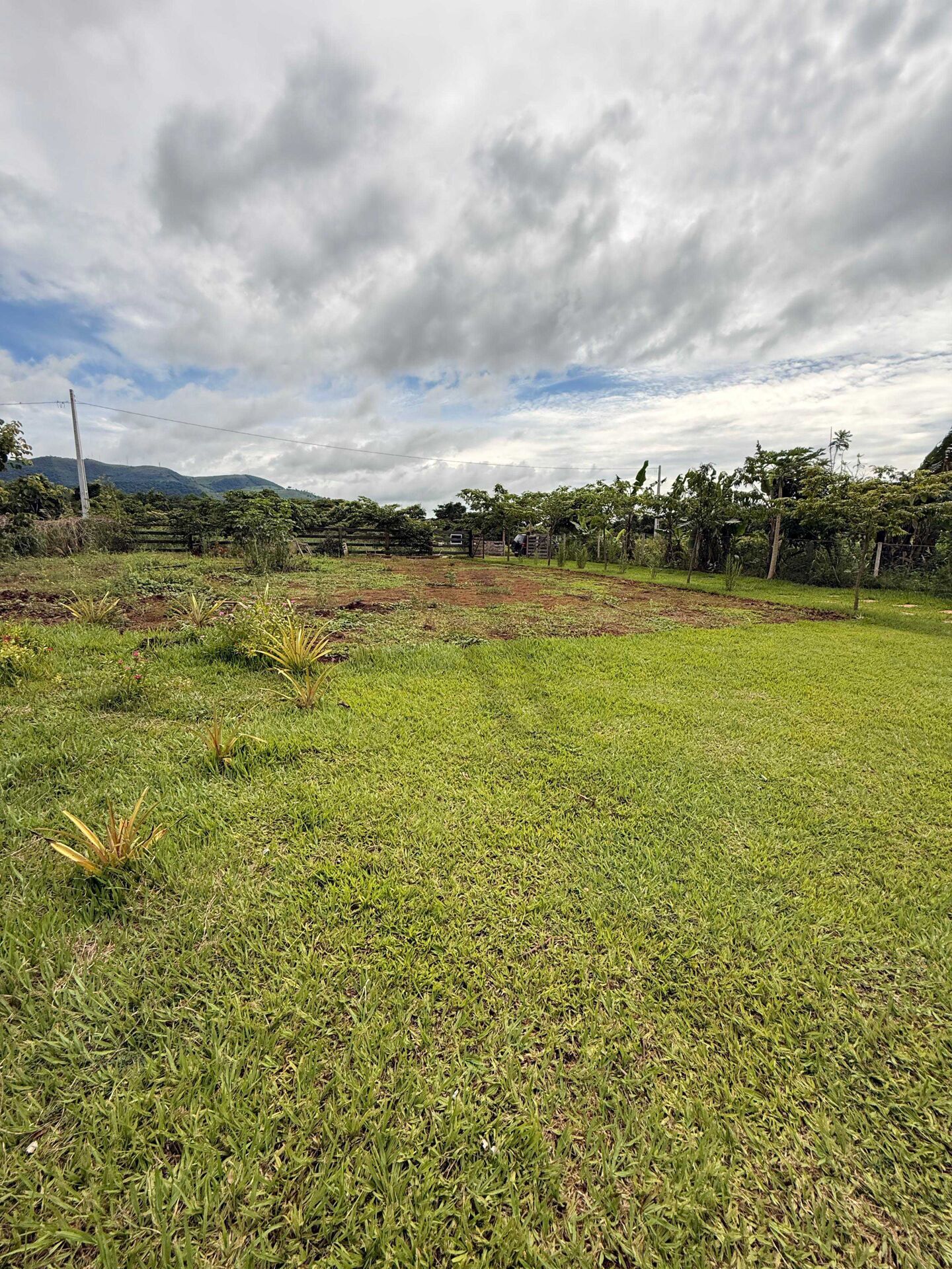 Sítio, 1300 m² - Foto 5