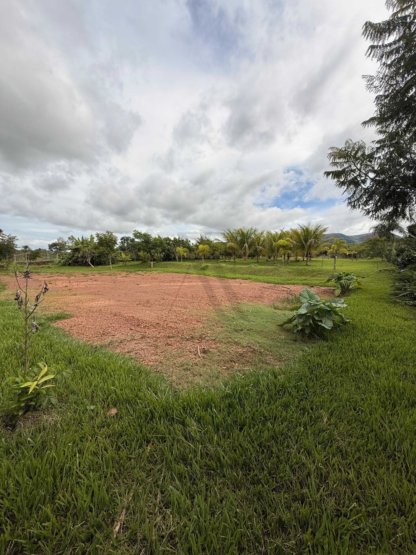 Sítio, 1300 m² - Foto 10