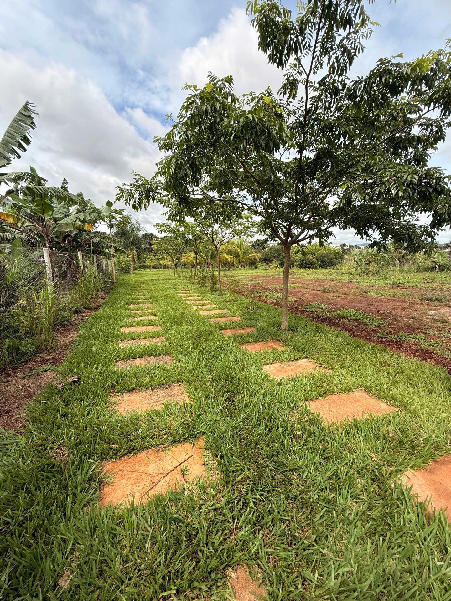 Sítio, 1300 m² - Foto 1