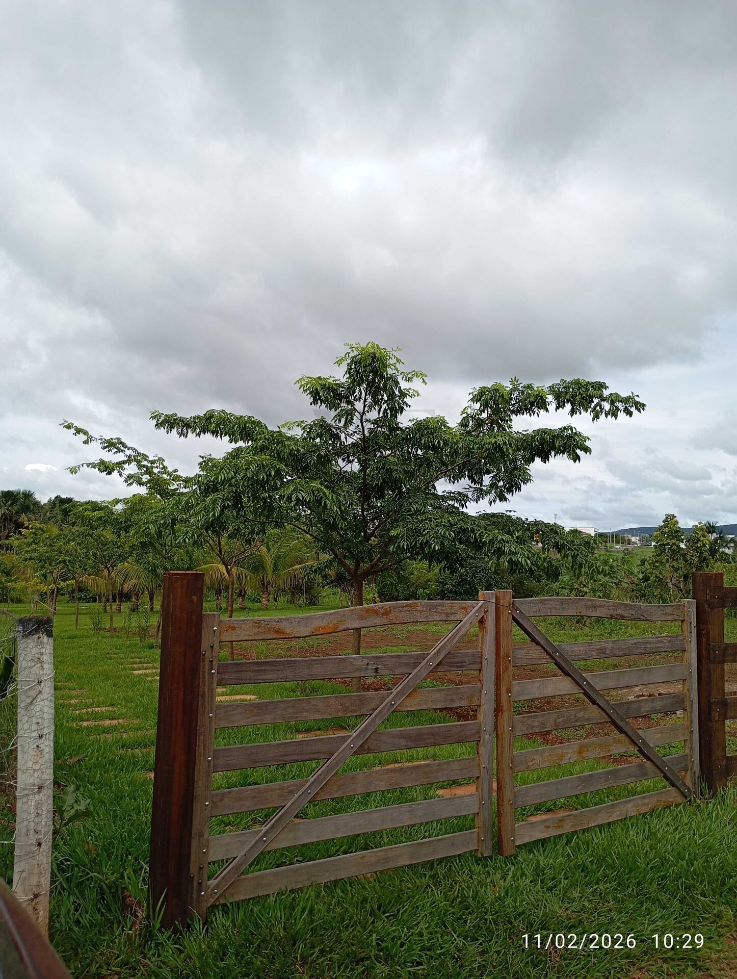 Sítio, 1300 m² - Foto 12