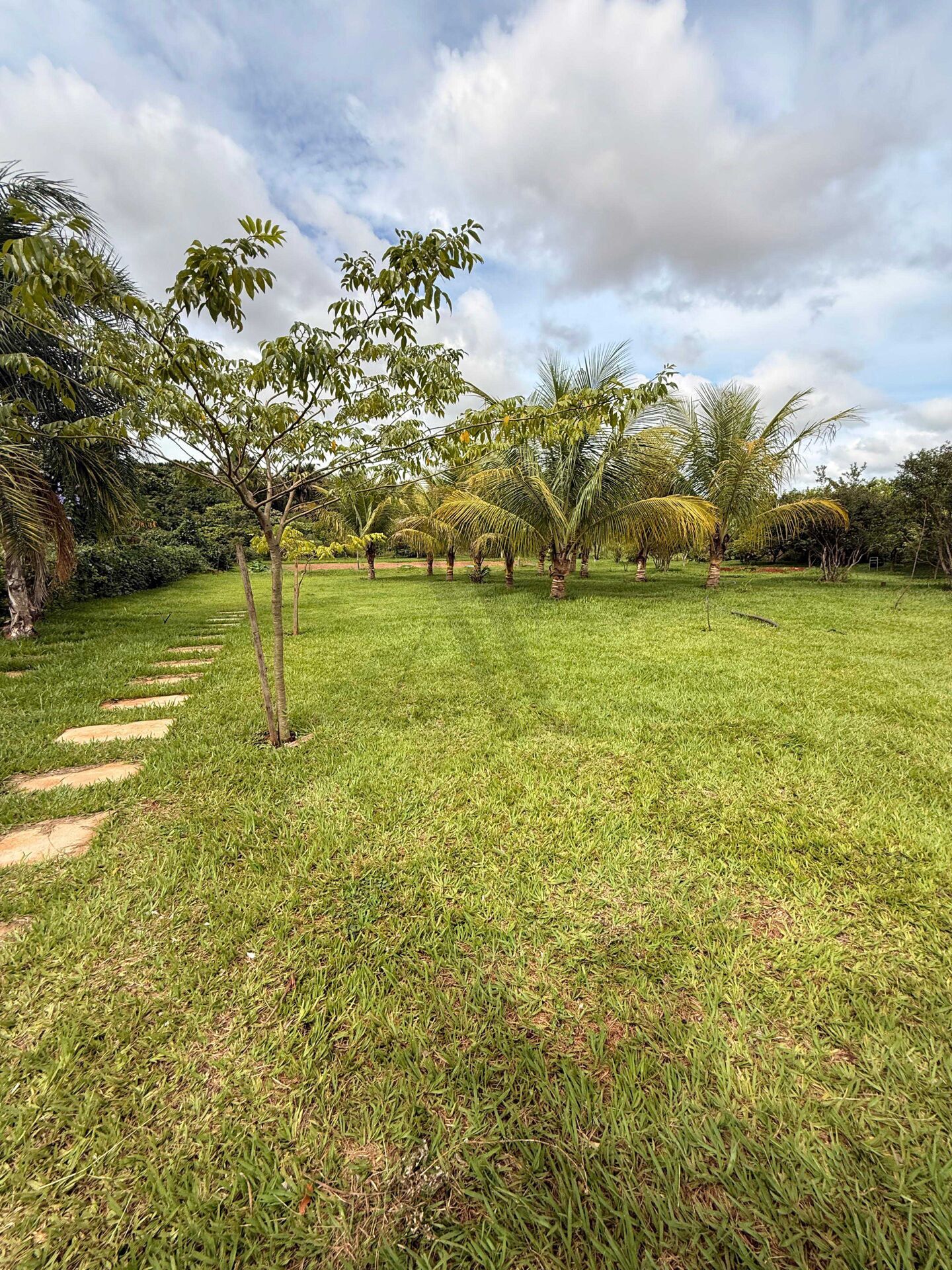 Sítio, 1300 m² - Foto 3