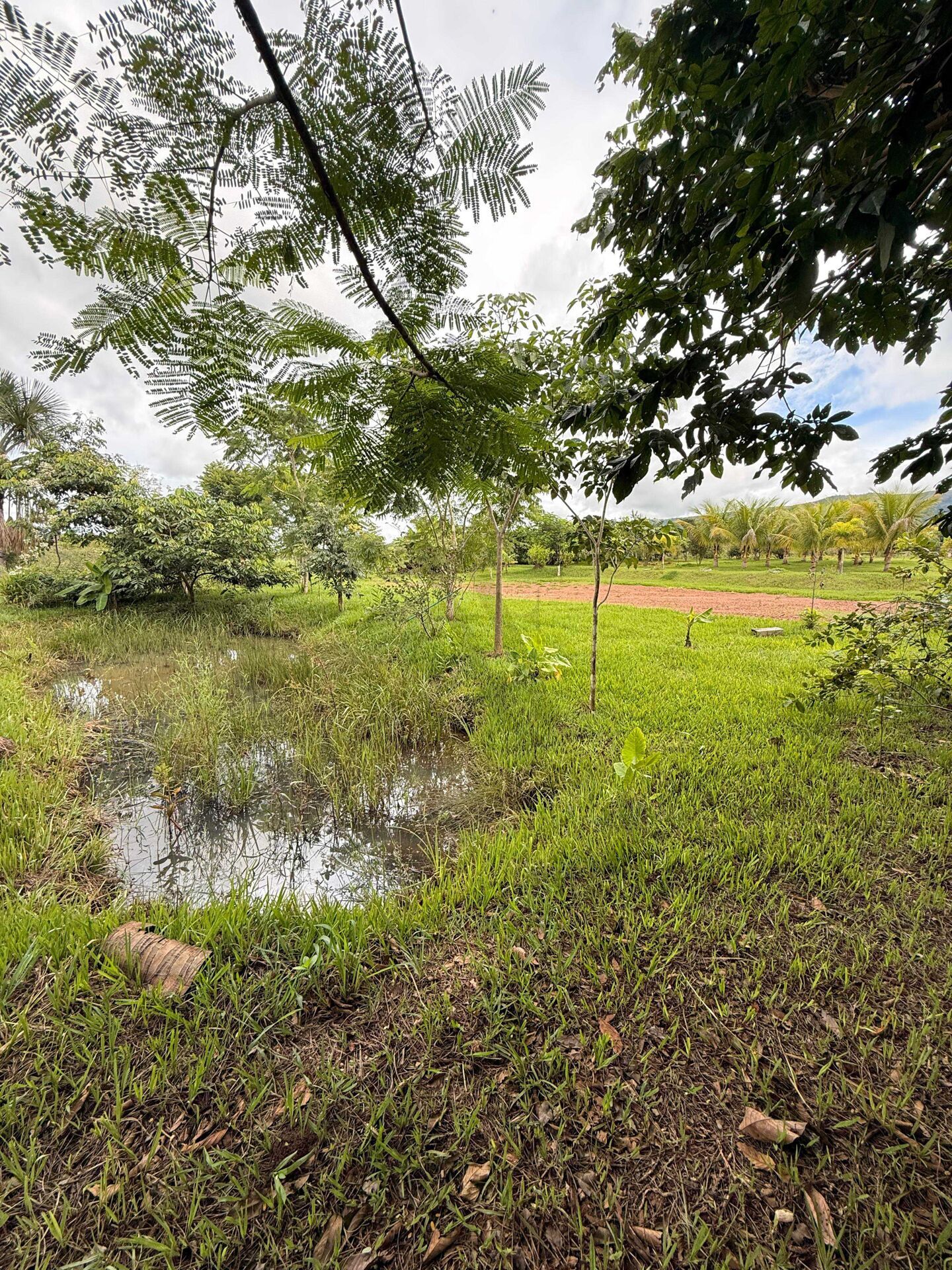 Sítio, 1300 m² - Foto 11