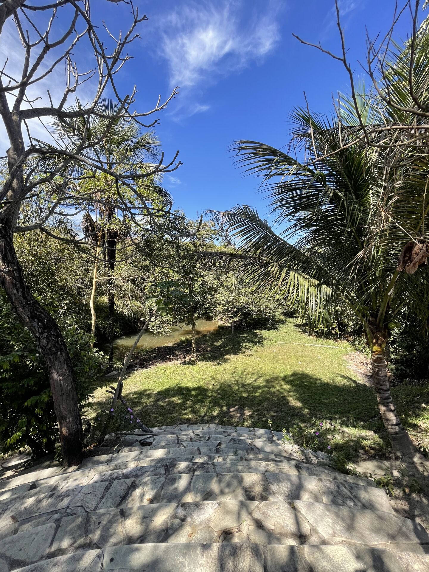 Chácara à venda com 3 quartos, 14000m² - Foto 8