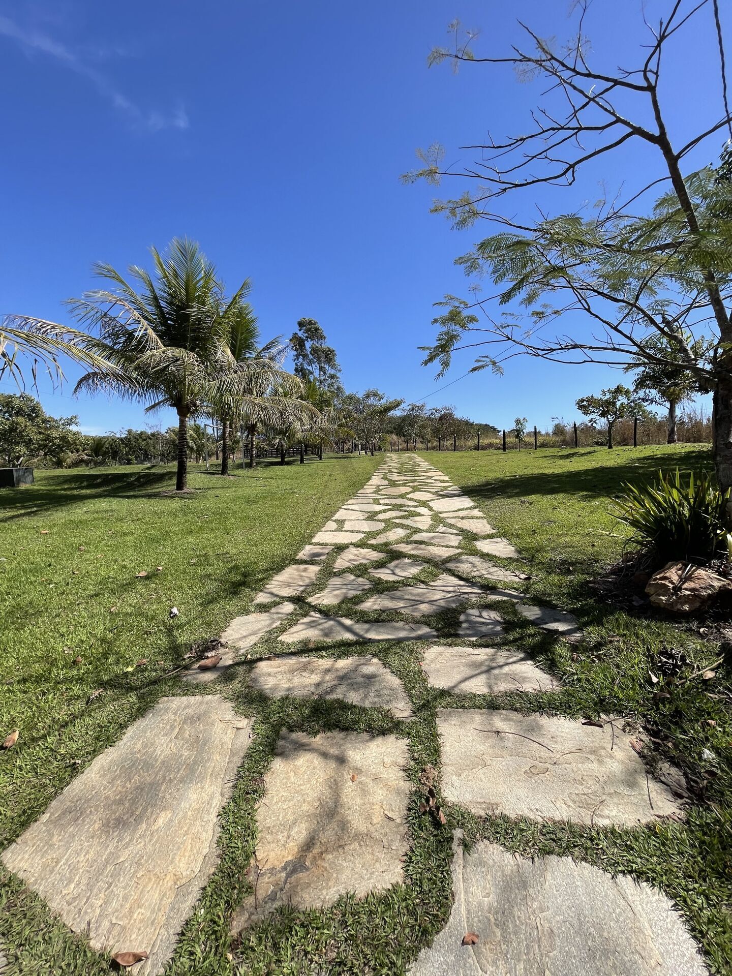 Chácara, 3 quartos, 1 hectares - Foto 2