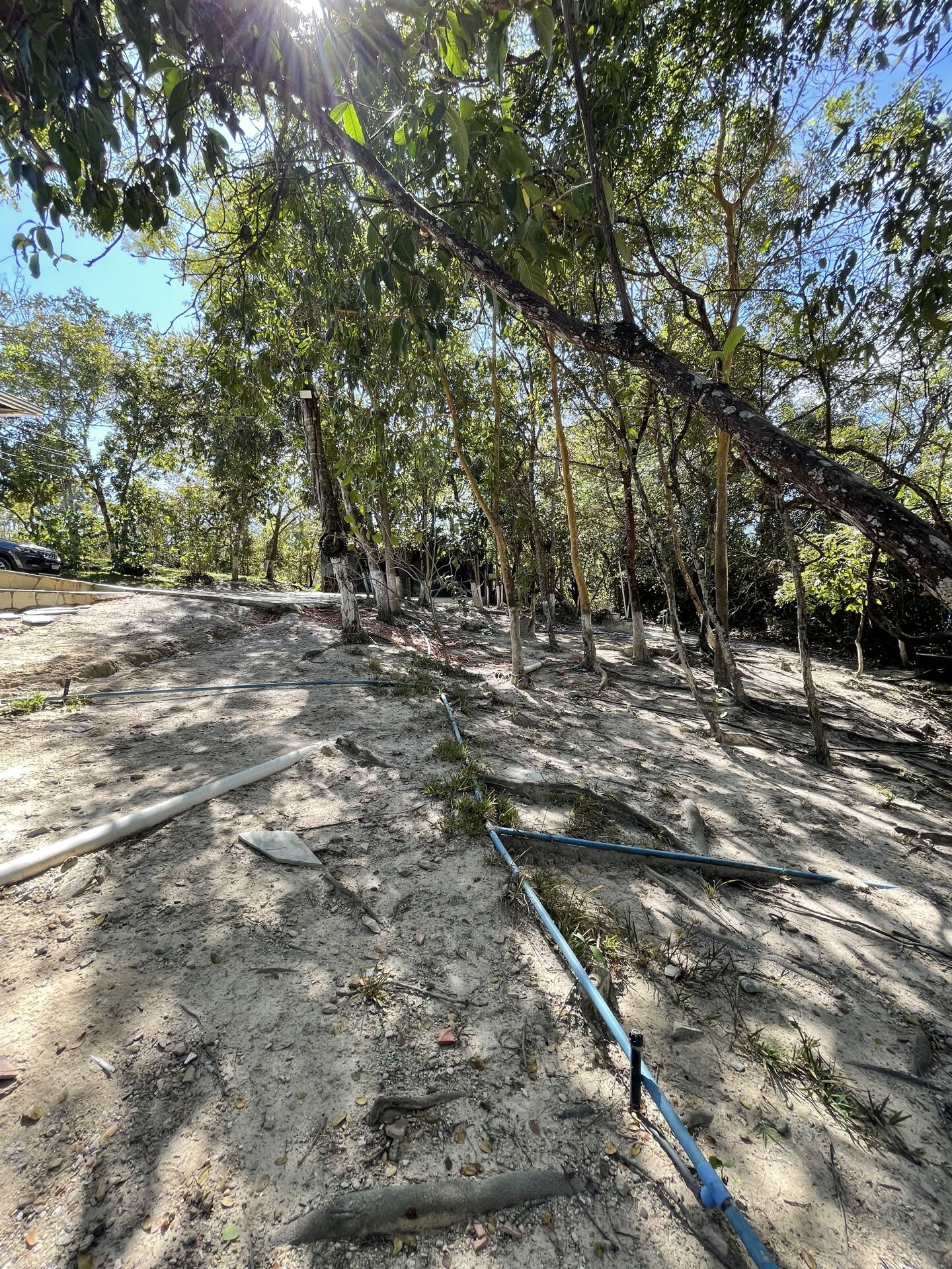 Chácara à venda com 3 quartos, 14000m² - Foto 13