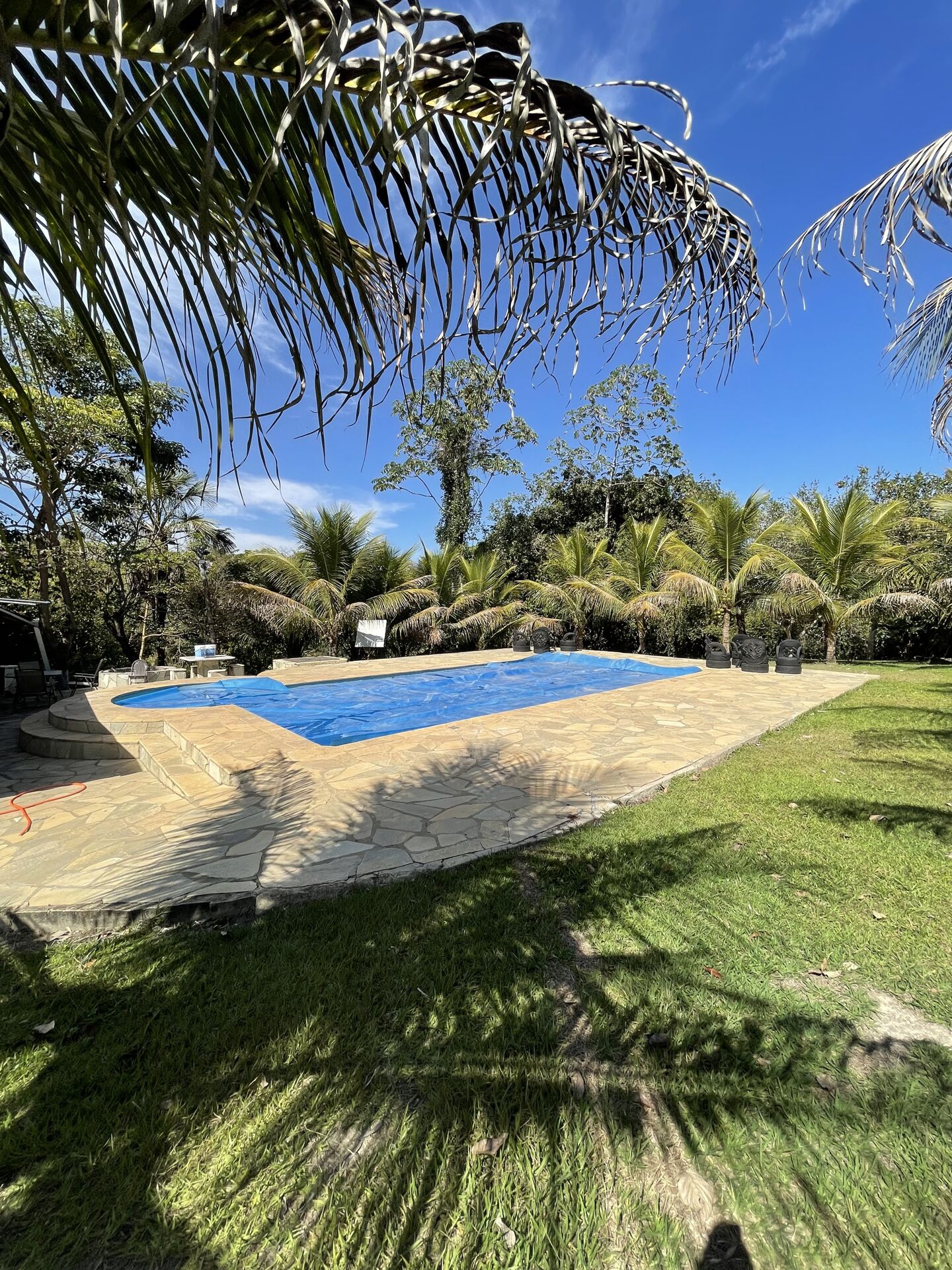 Chácara à venda com 3 quartos, 14000m² - Foto 7