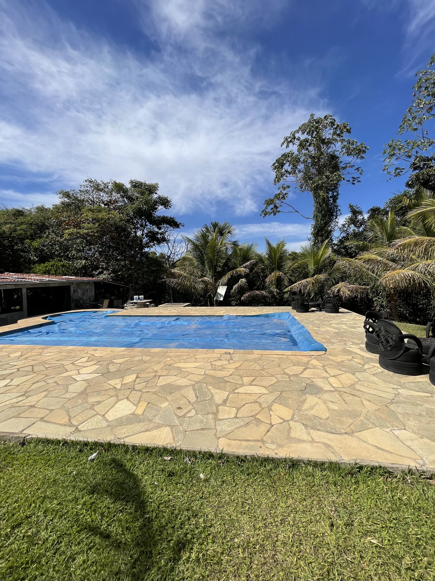 Chácara à venda com 3 quartos, 14000m² - Foto 6