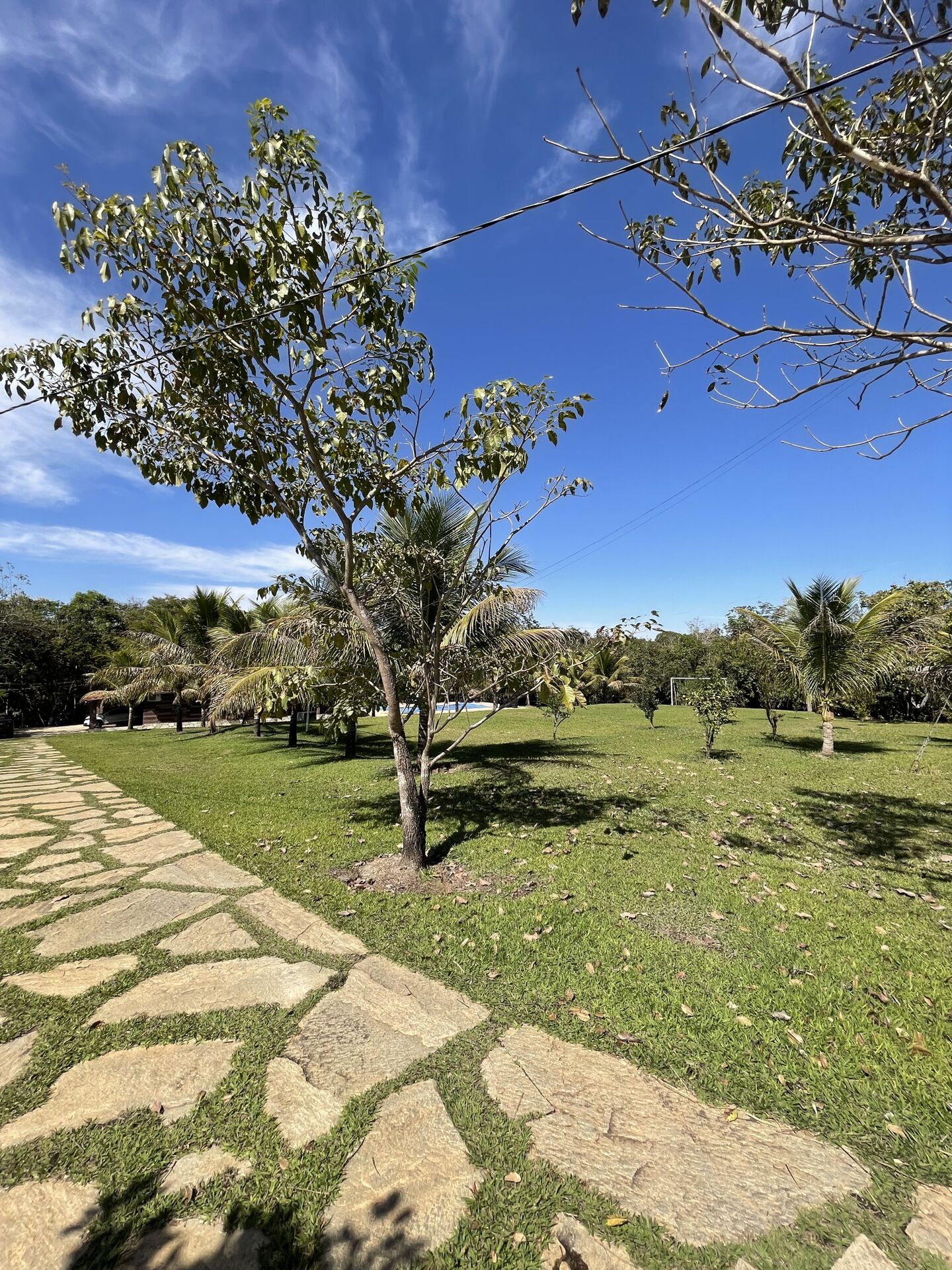 Chácara à venda com 3 quartos, 14000m² - Foto 15