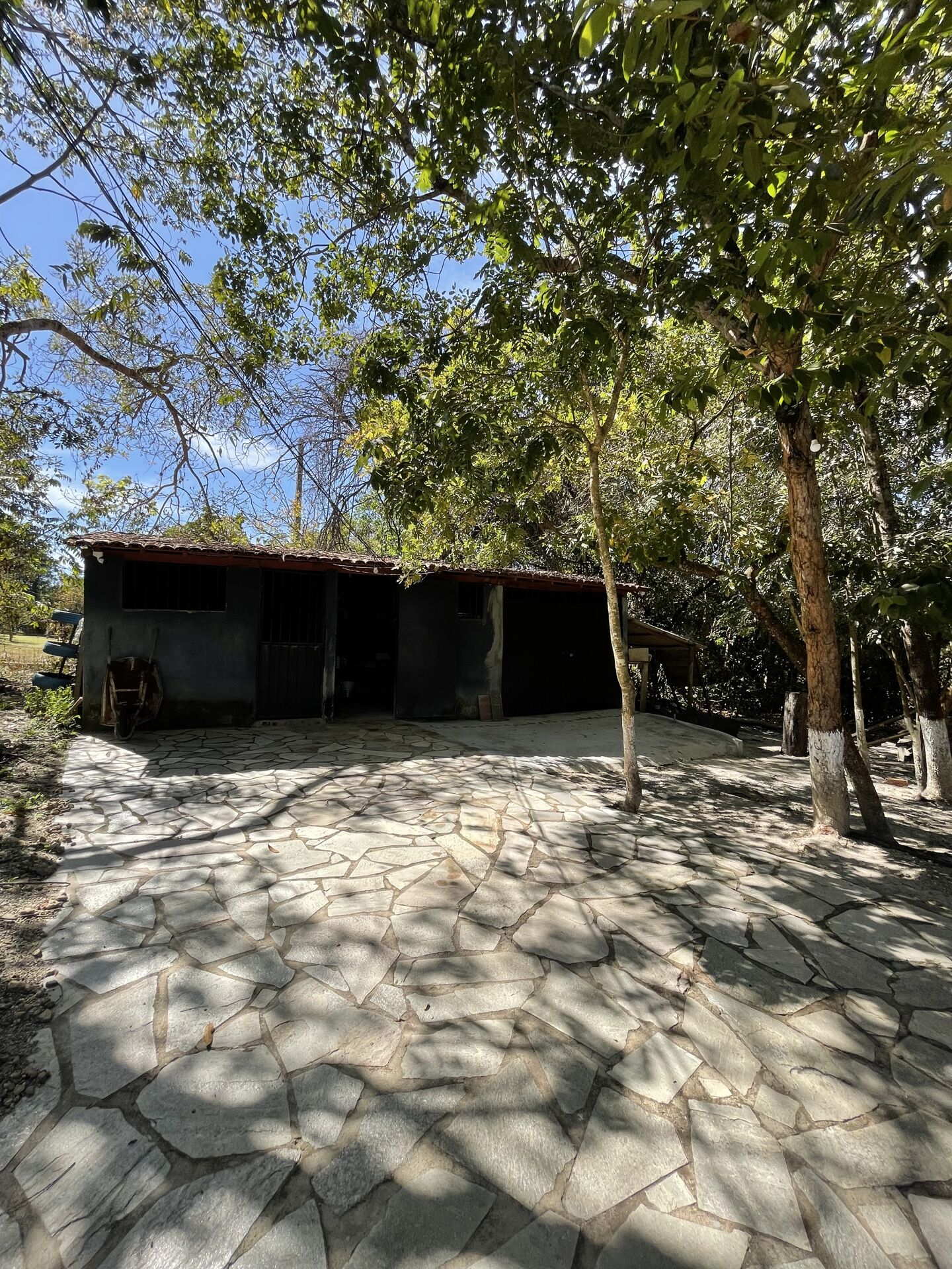 Chácara à venda com 3 quartos, 14000m² - Foto 14