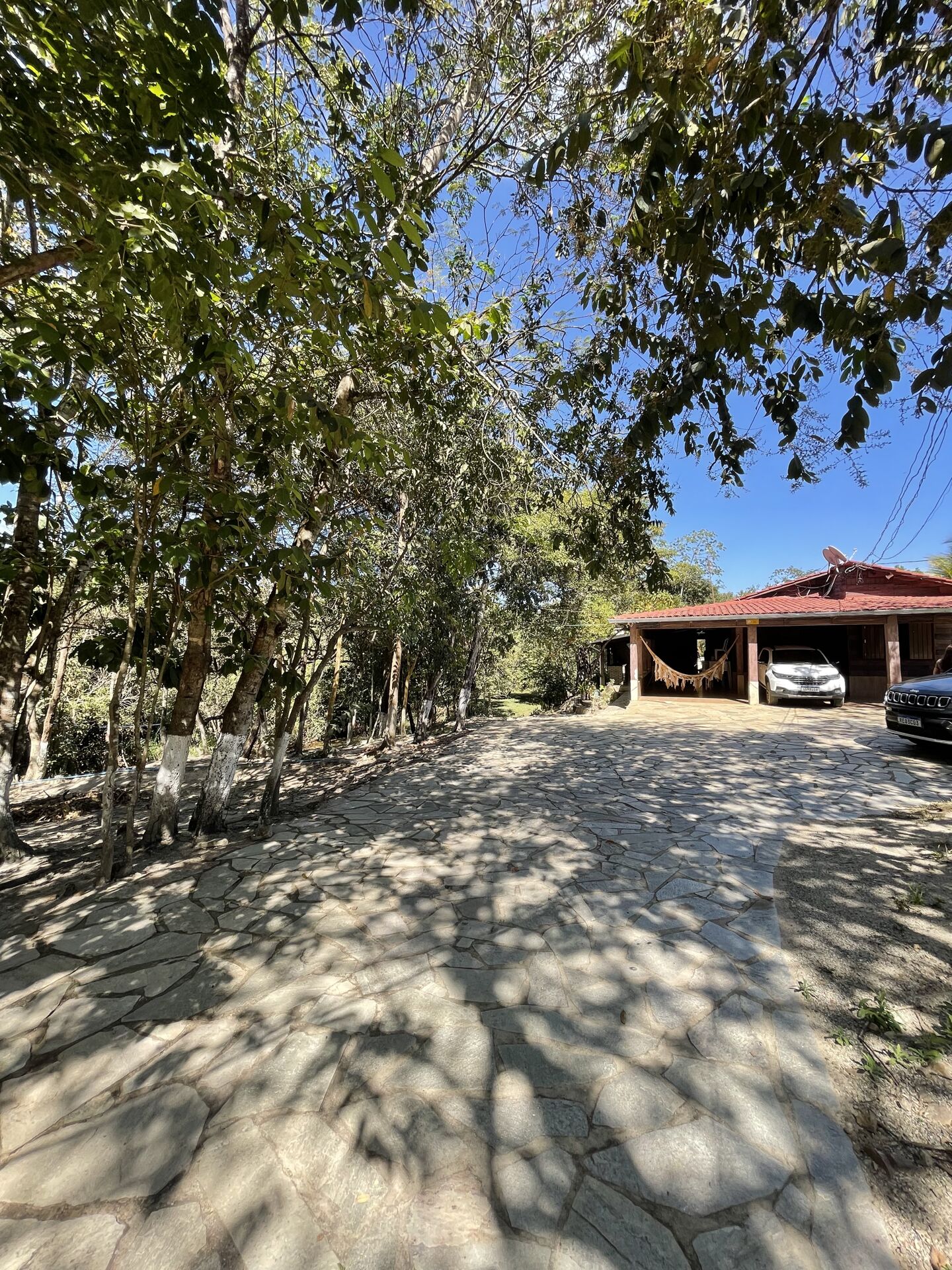 Chácara à venda com 3 quartos, 14000m² - Foto 12