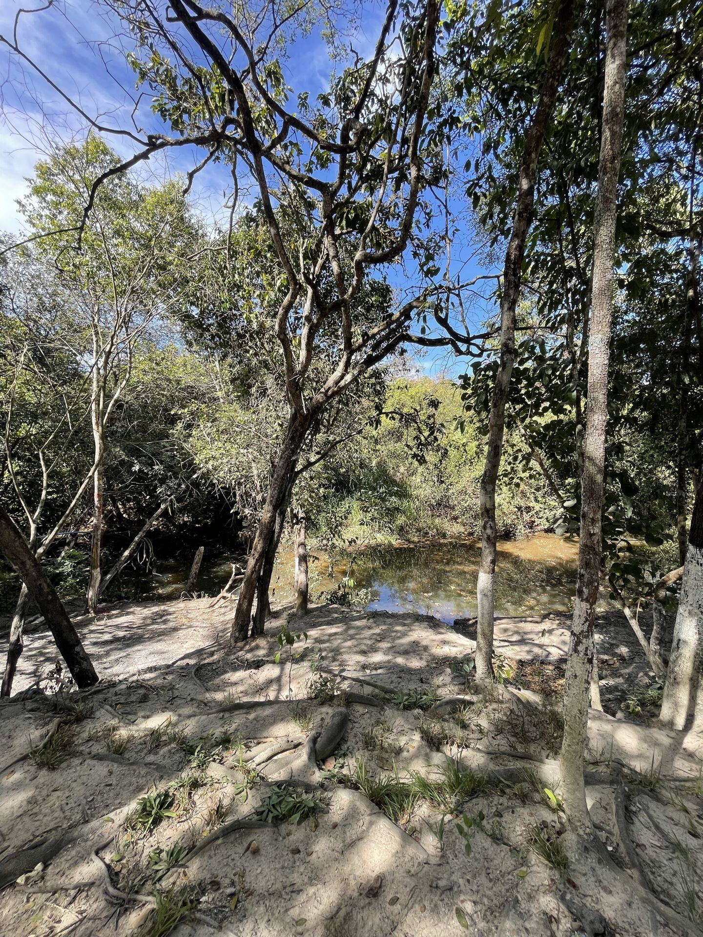 Chácara à venda com 3 quartos, 14000m² - Foto 11