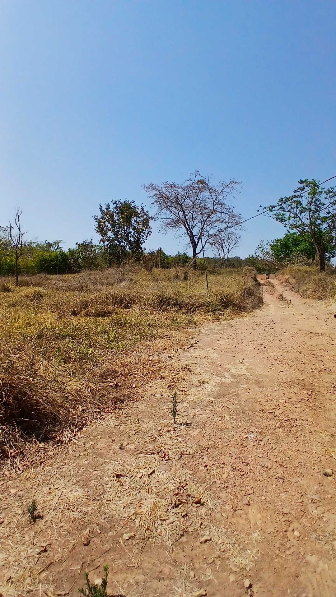 Chácara, 3 quartos, 5000 m² - Foto 29