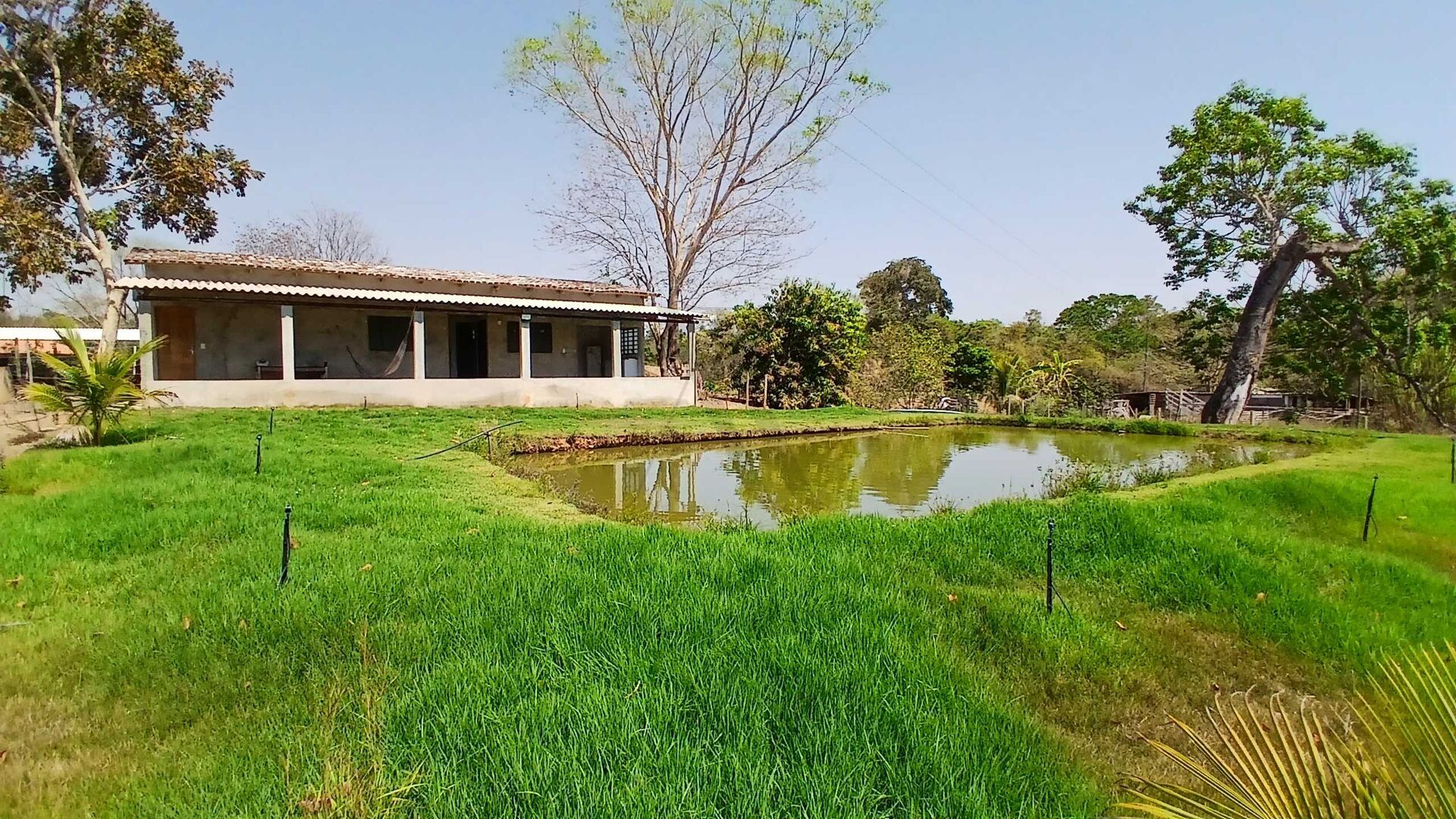 Chácara, 3 quartos, 5000 m² - Foto 3