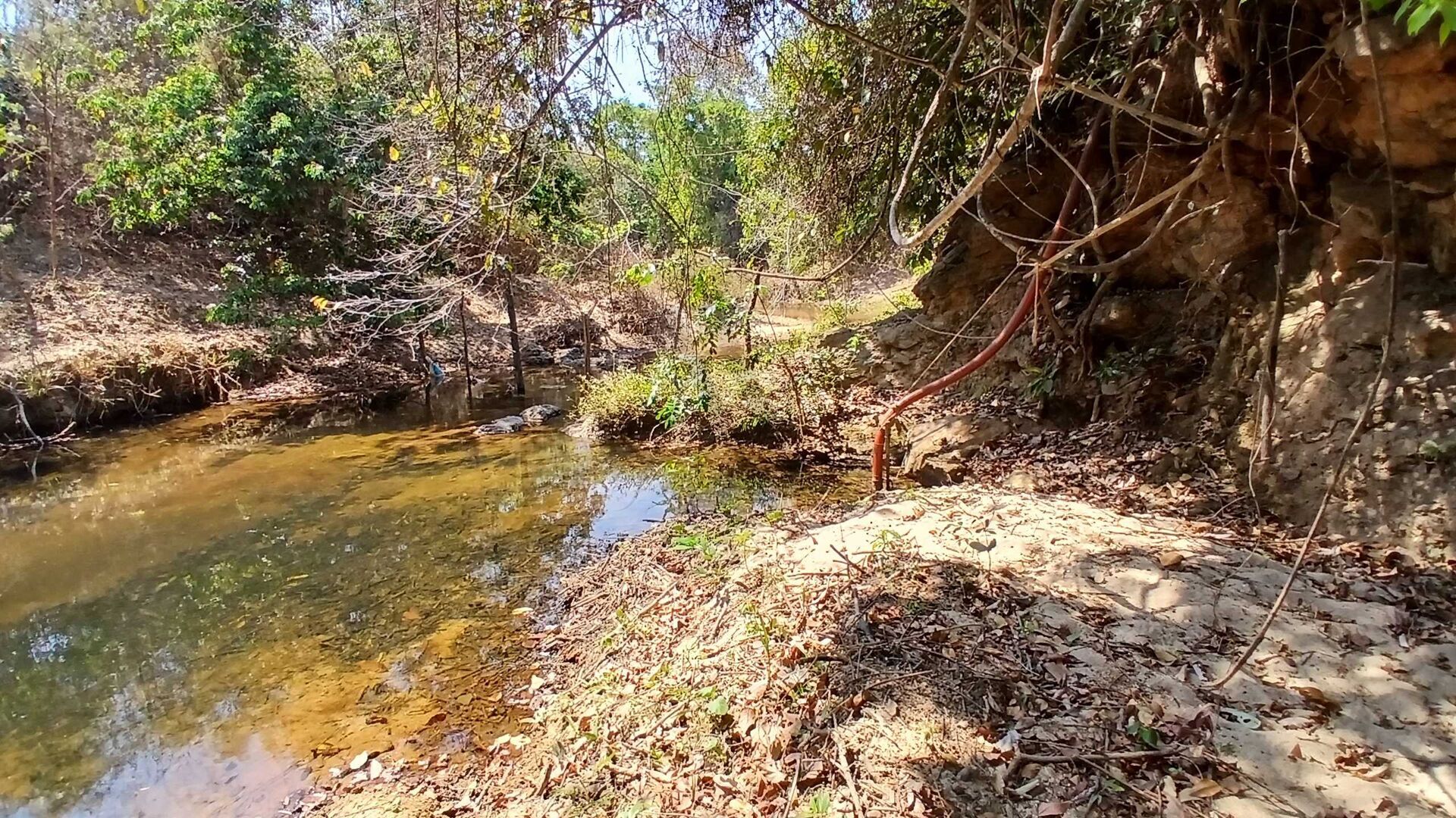 Chácara, 3 quartos, 5000 m² - Foto 25