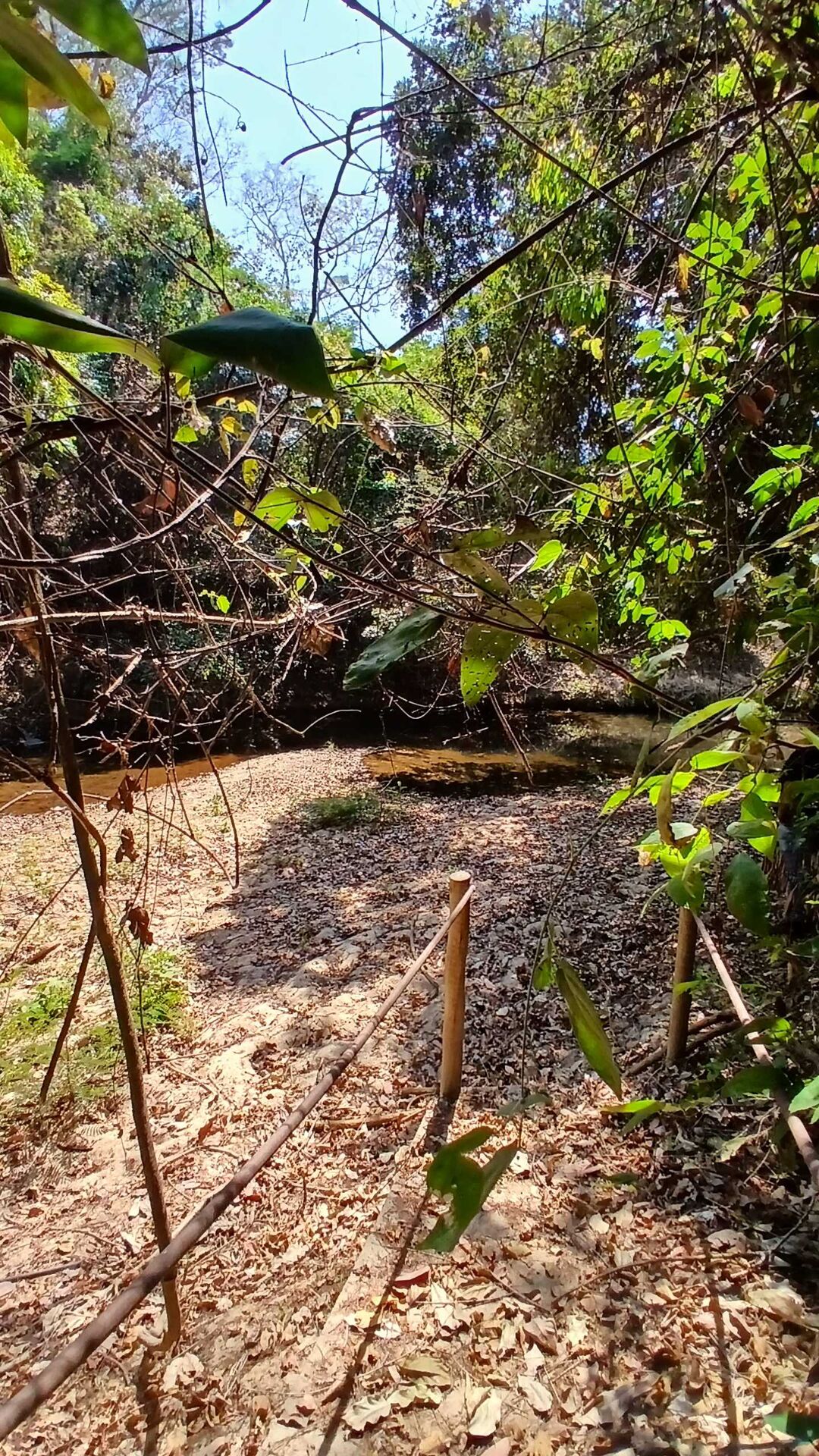 Chácara à venda com 3 quartos, 5000m² - Foto 28