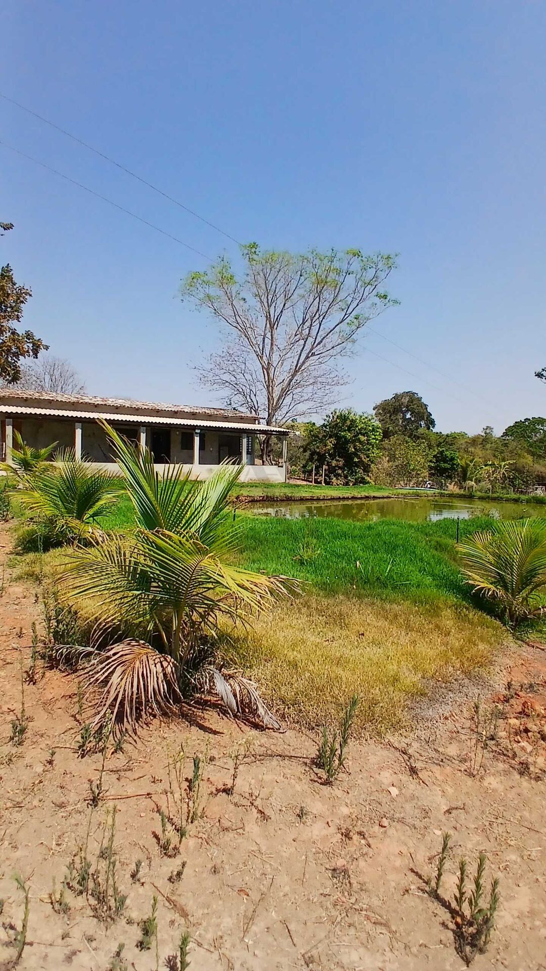 Chácara, 3 quartos, 5000 m² - Foto 1