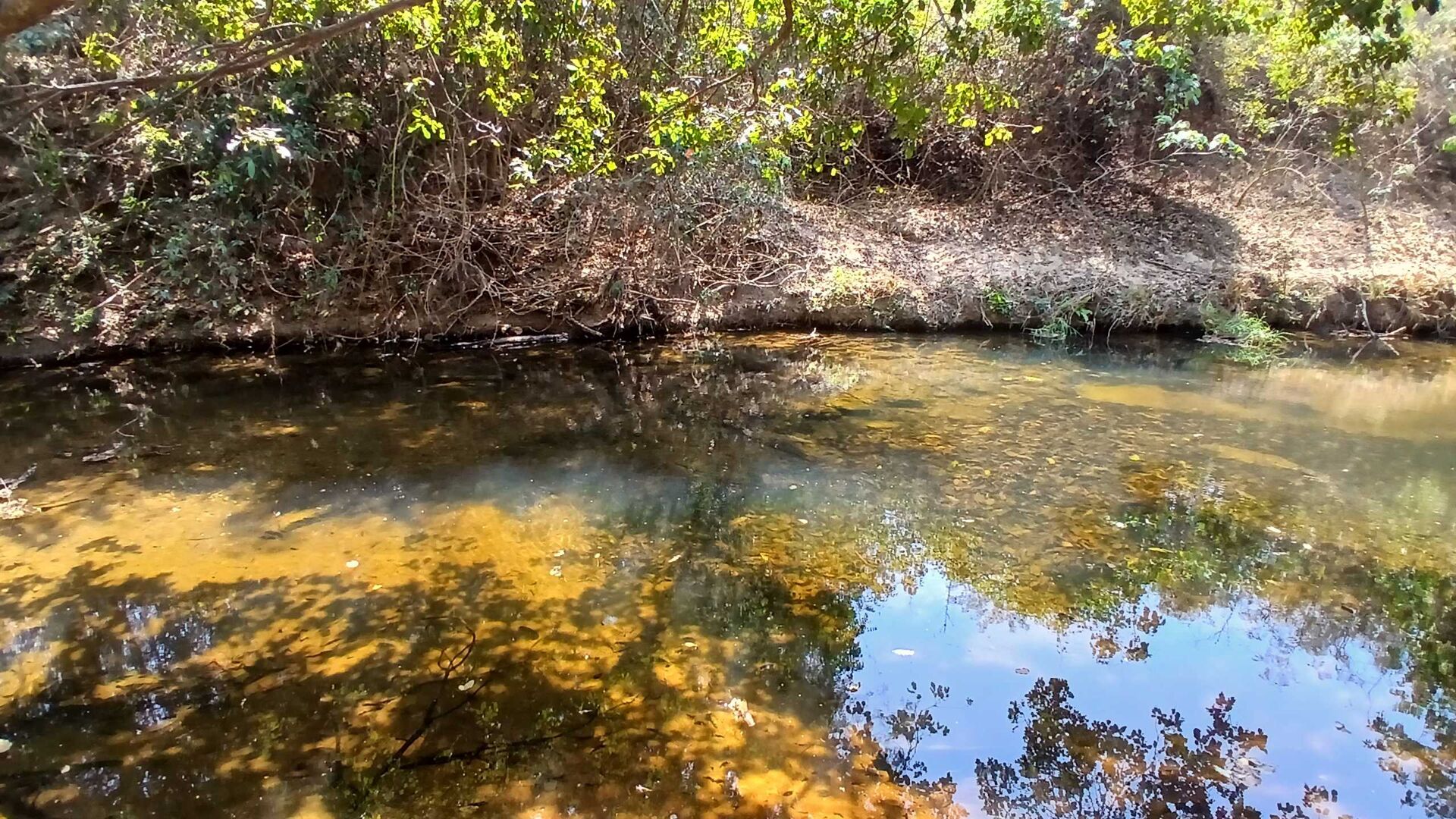 Chácara à venda com 3 quartos, 5000m² - Foto 27