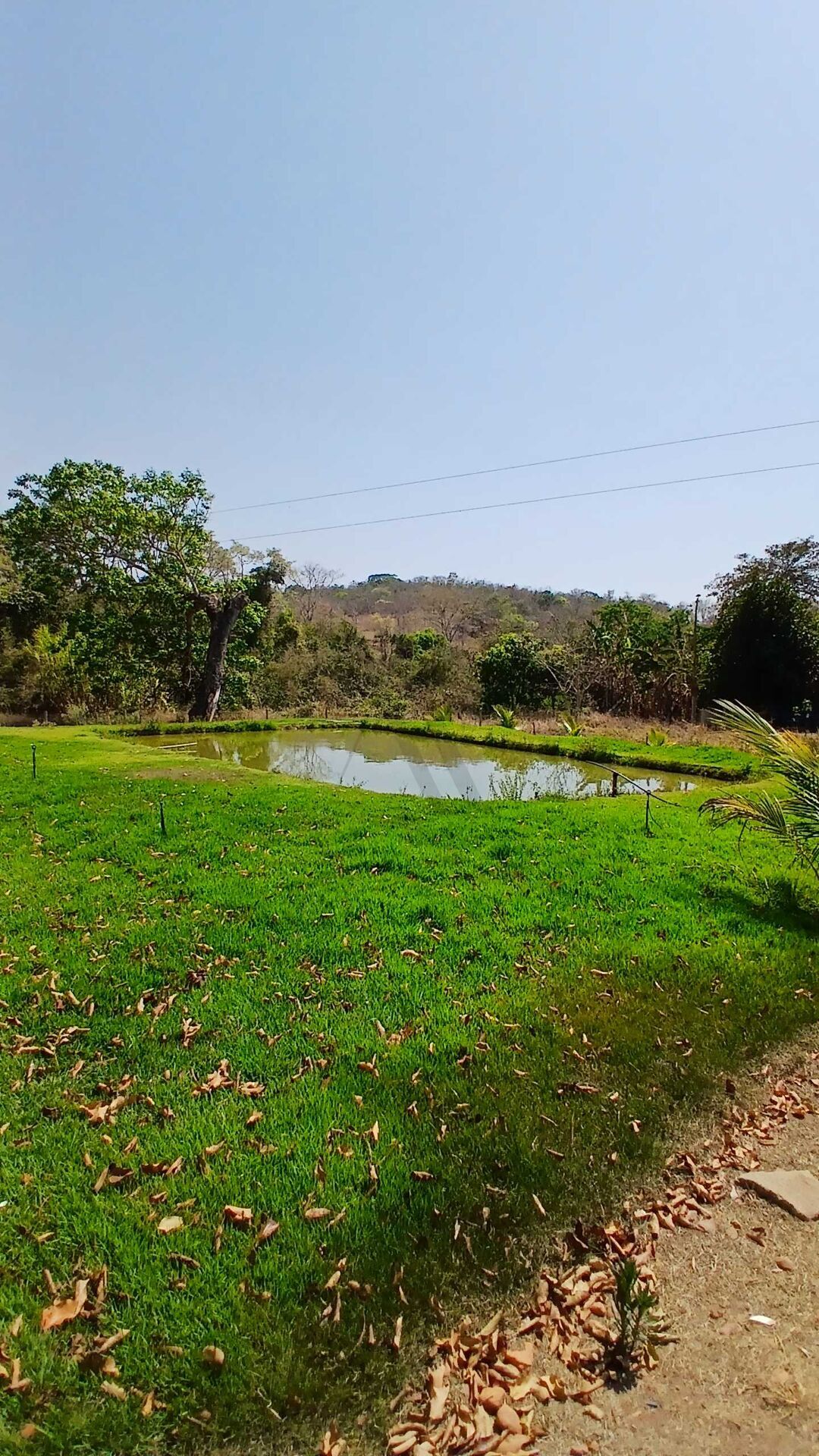 Chácara, 3 quartos, 5000 m² - Foto 15