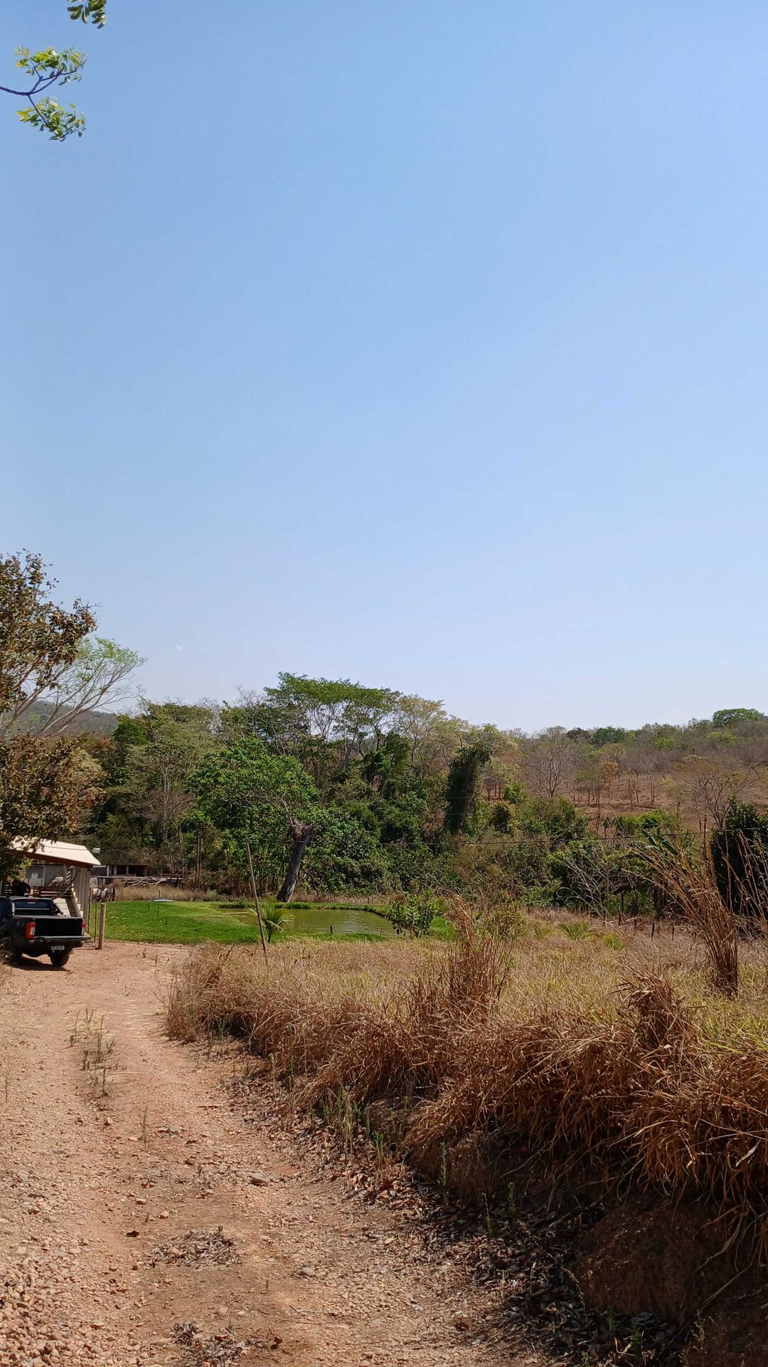 Chácara à venda com 3 quartos, 5000m² - Foto 31