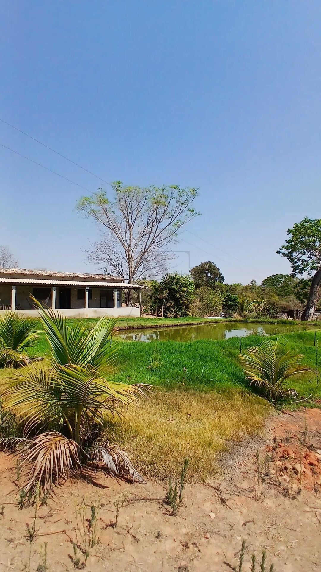 Chácara, 3 quartos, 5000 m² - Foto 2