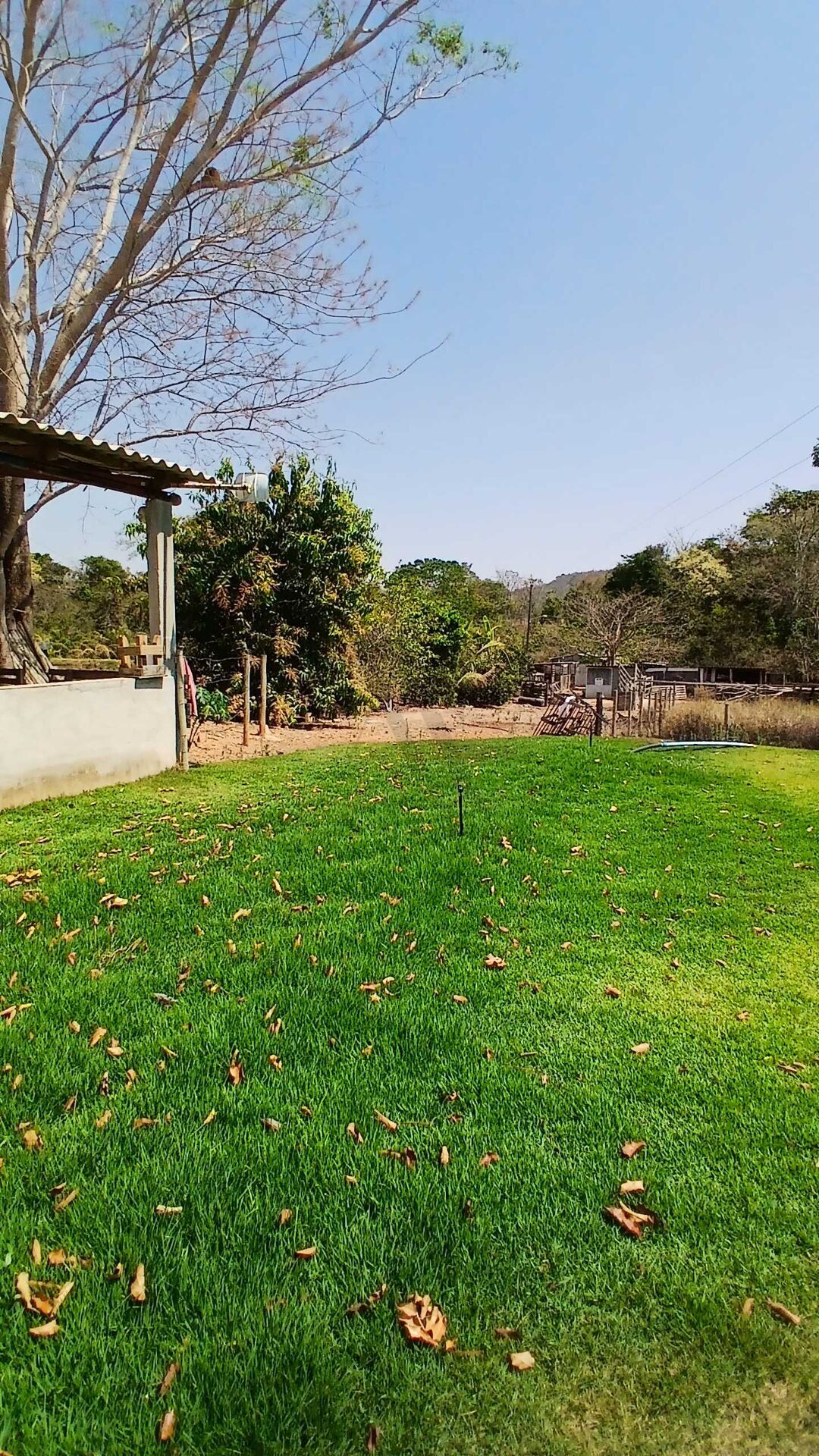 Chácara, 3 quartos, 5000 m² - Foto 14