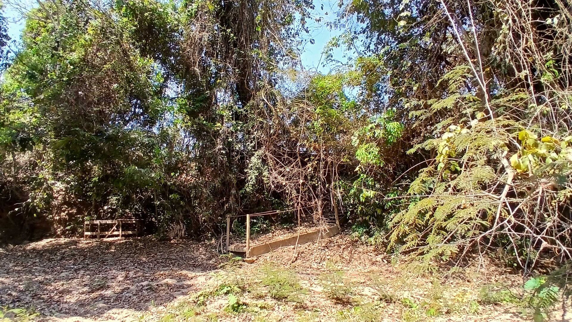 Chácara, 3 quartos, 5000 m² - Foto 26