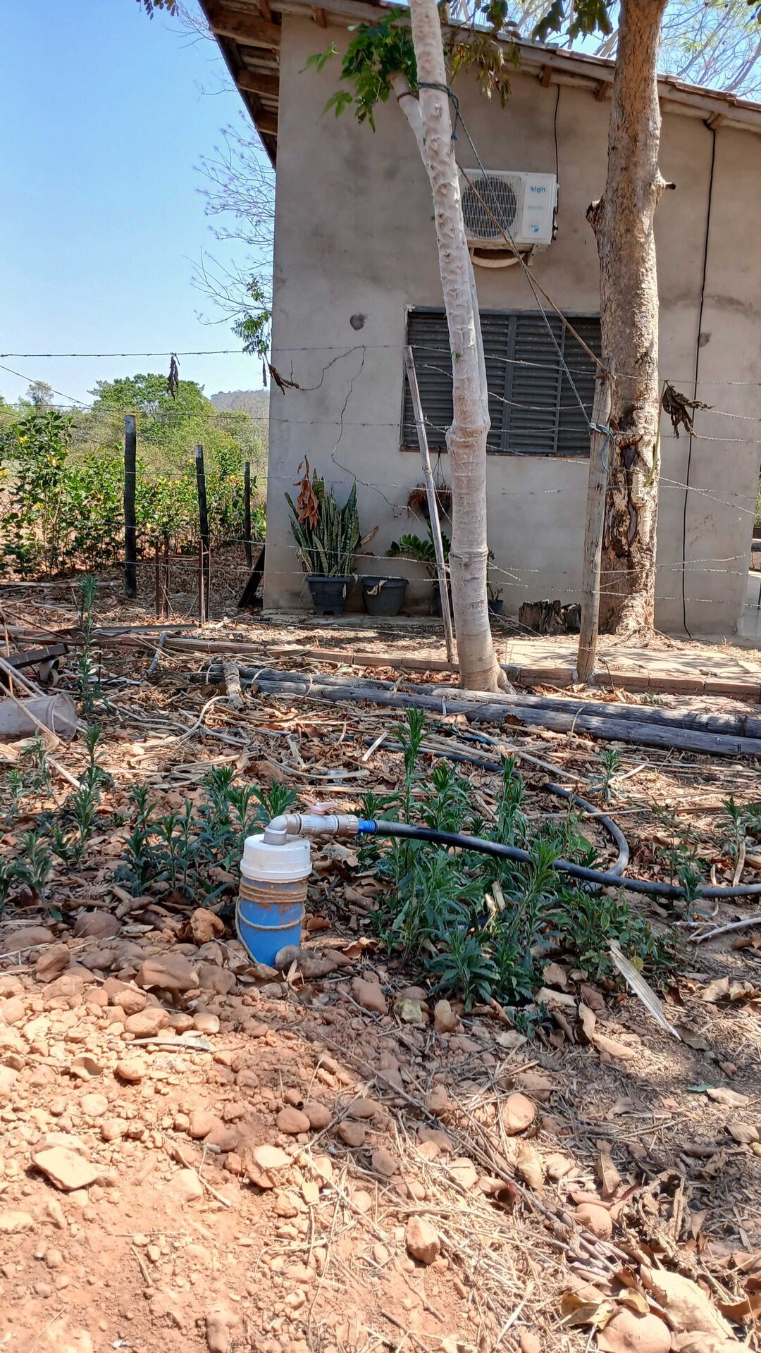 Chácara, 3 quartos, 5000 m² - Foto 32