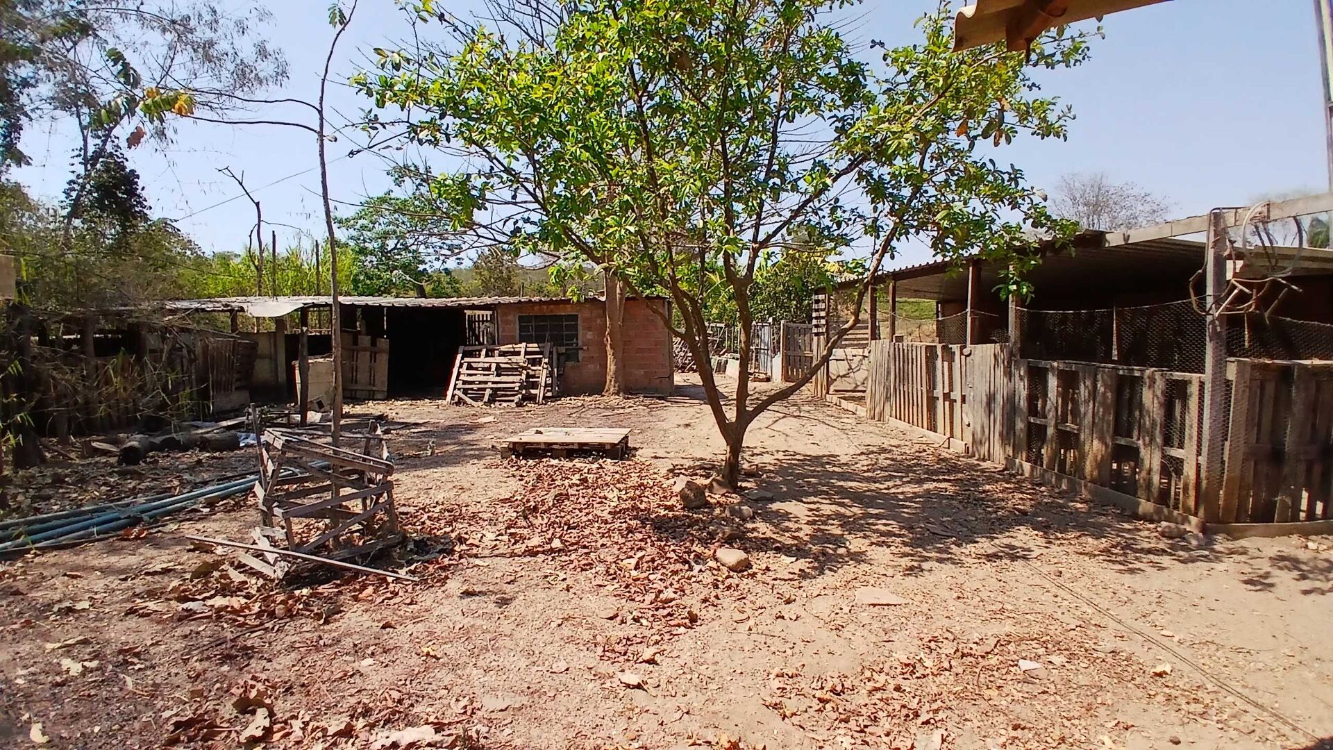 Chácara à venda com 3 quartos, 5000m² - Foto 20