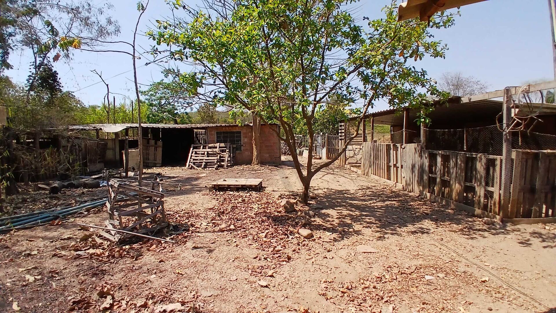 Chácara, 3 quartos, 5000 m² - Foto 20