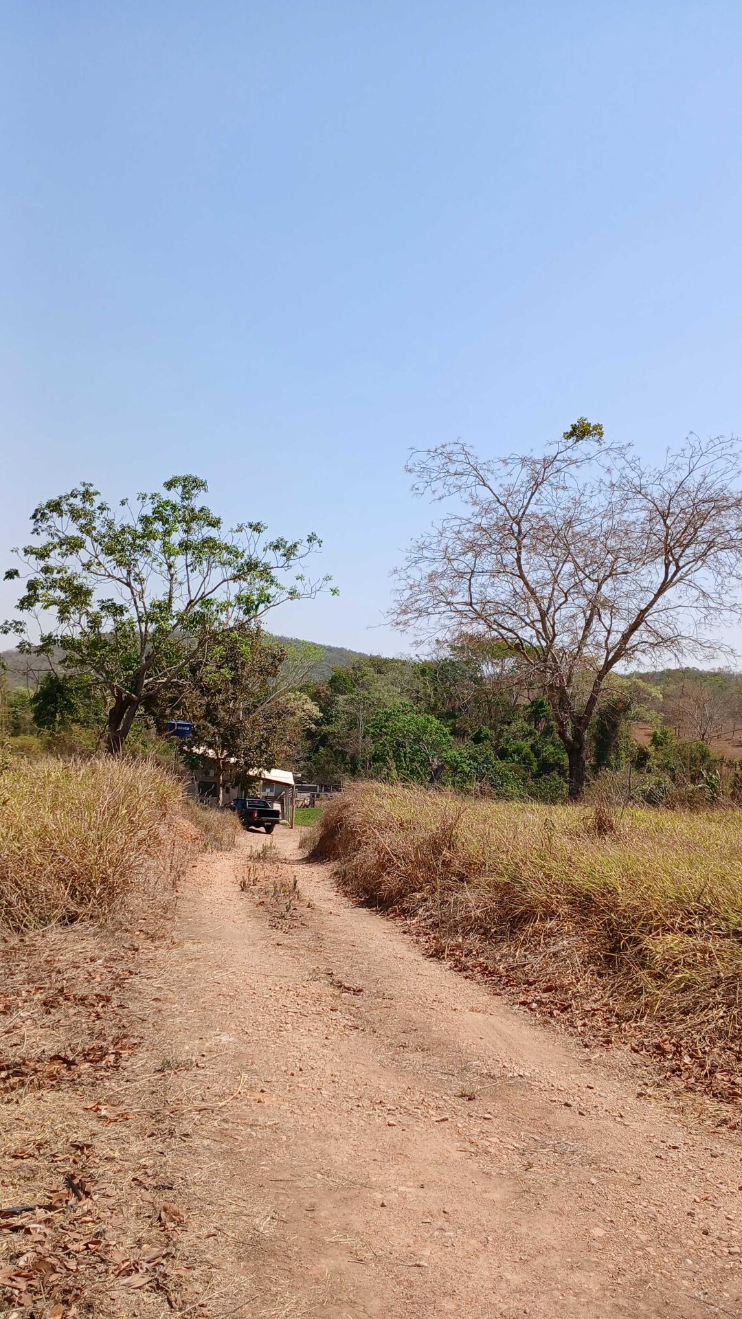 Chácara à venda com 3 quartos, 5000m² - Foto 30