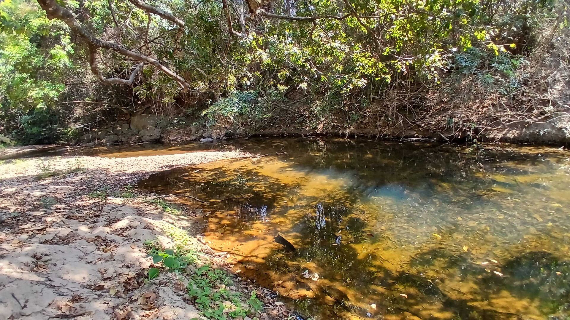 Chácara à venda com 3 quartos, 5000m² - Foto 24
