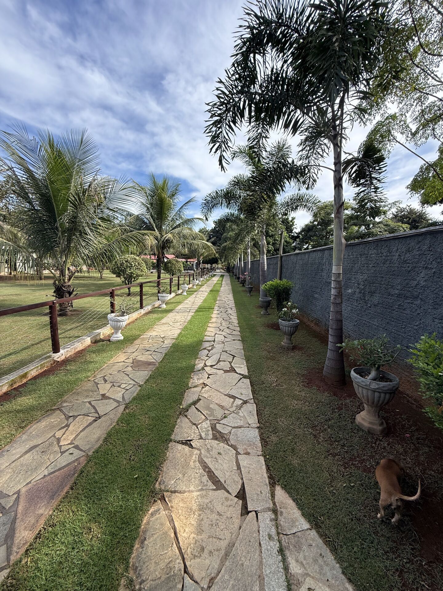 Sítio, 9 quartos, 4000 m² - Foto 14