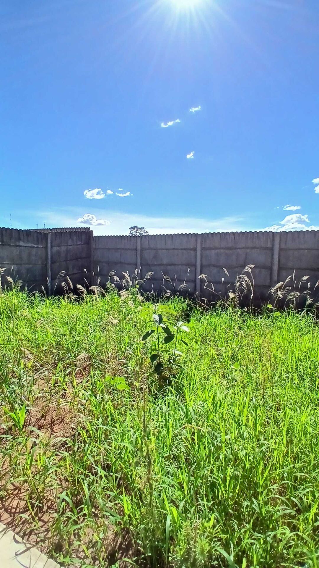 Casa, 2 quartos, 65 m² - Foto 17