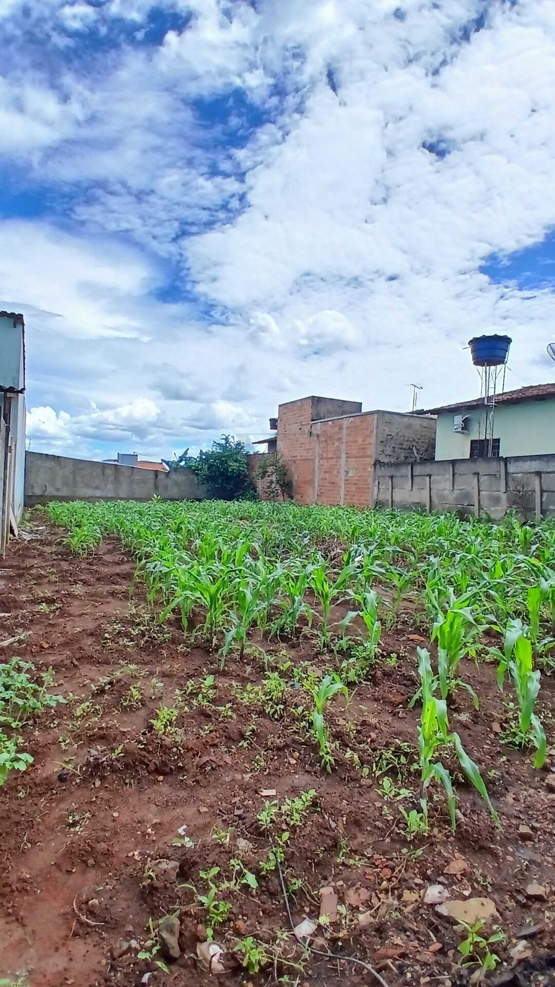 Terreno, 360 m² - Foto 1