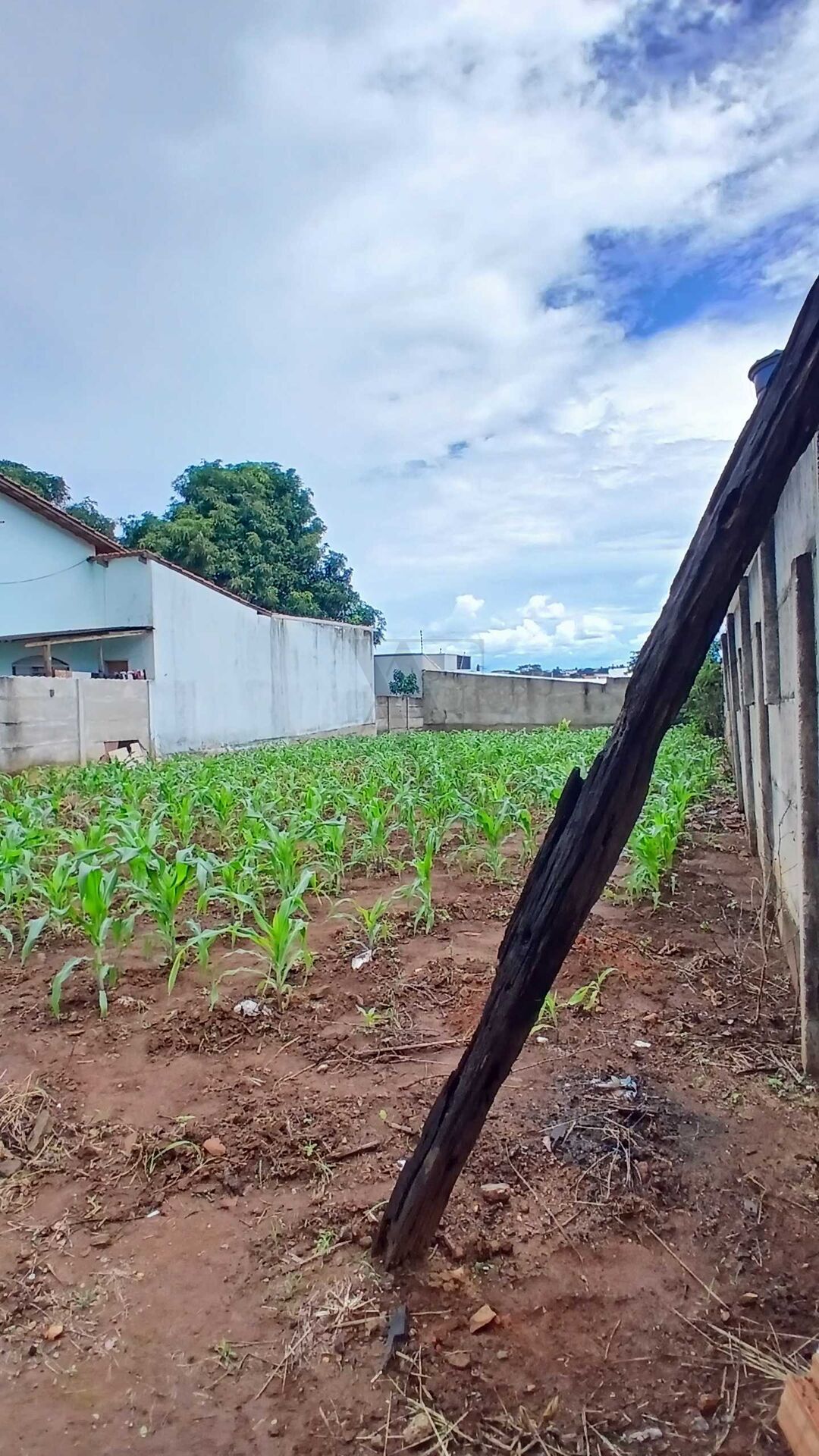 Terreno, 360 m² - Foto 2