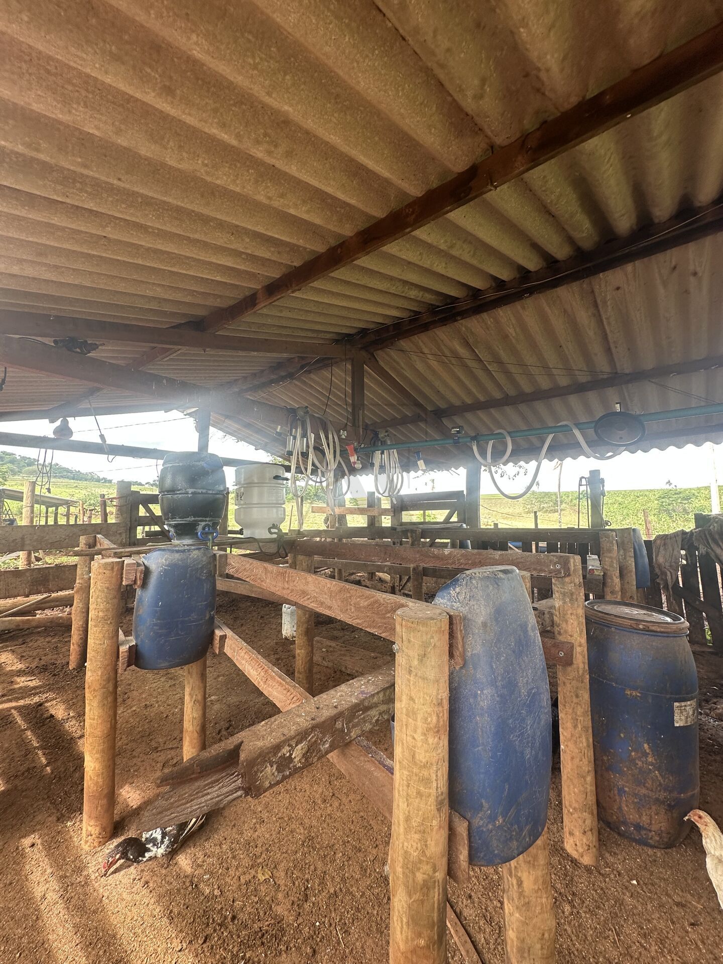 Chácara, 4 quartos, 10 hectares - Foto 10