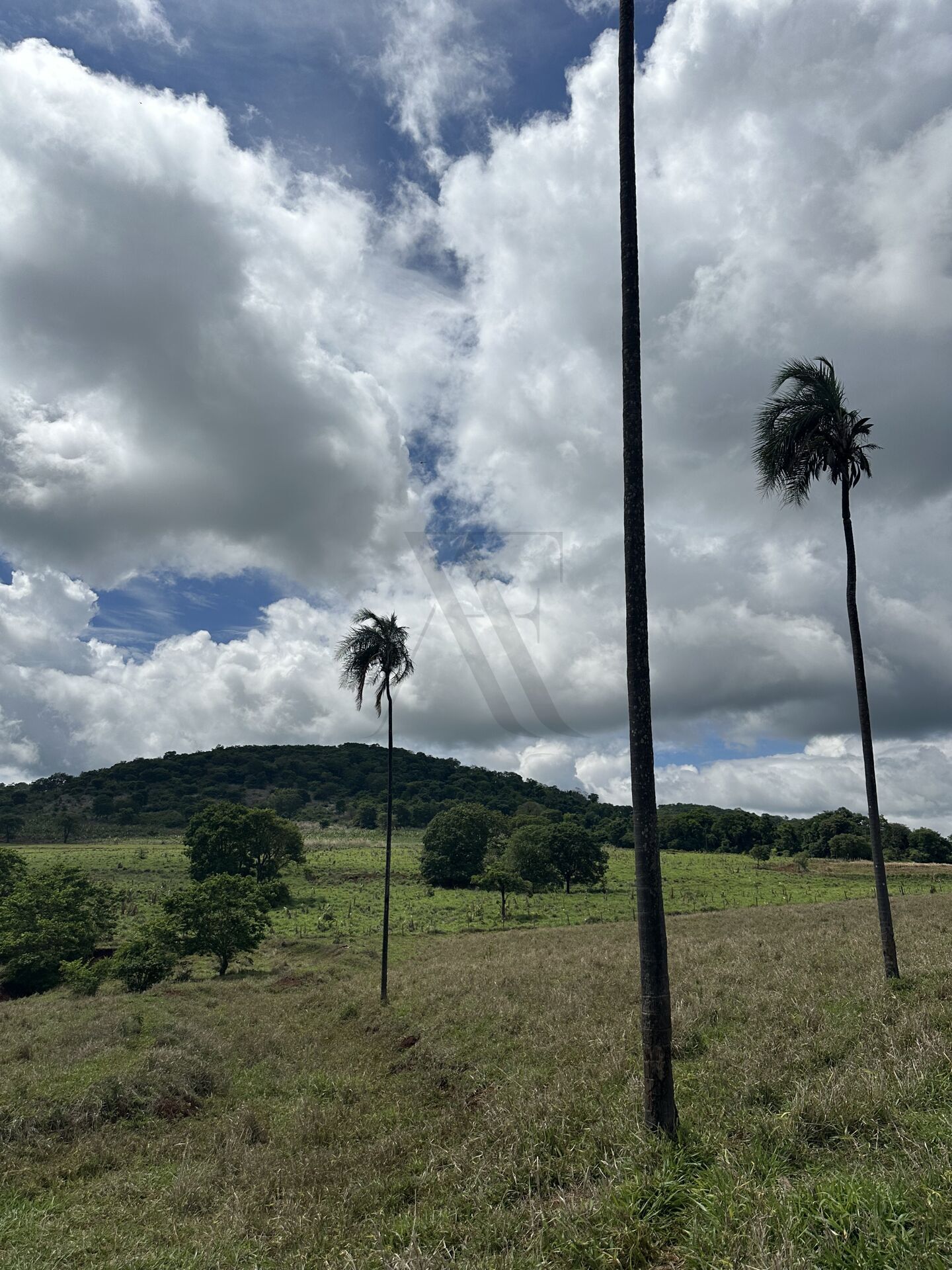 Chácara, 4 quartos, 10 hectares - Foto 1