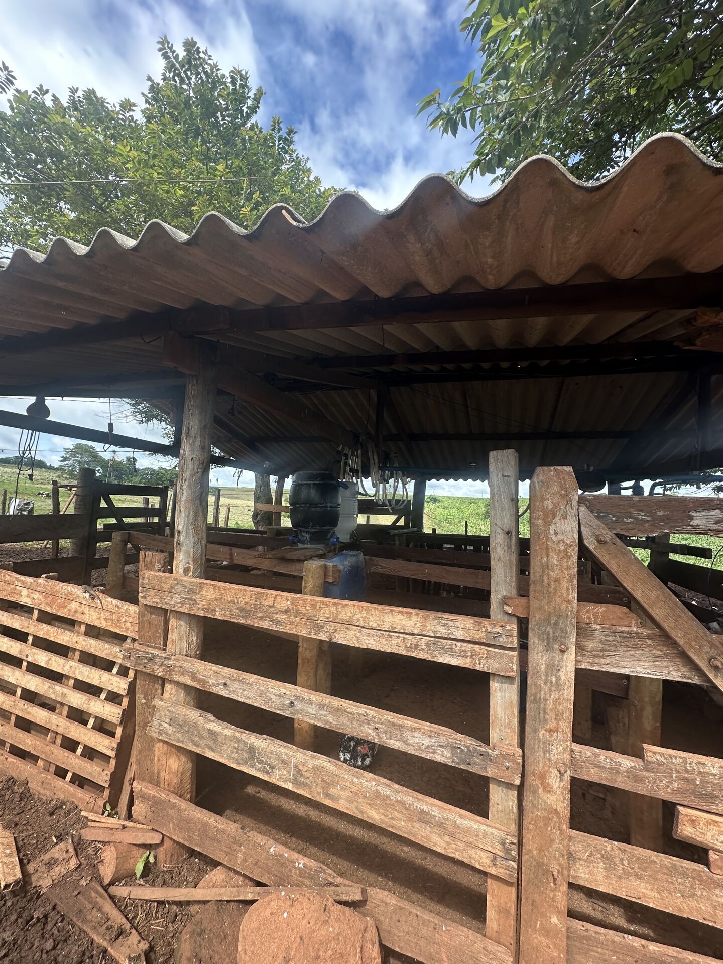 Chácara, 4 quartos, 10 hectares - Foto 9