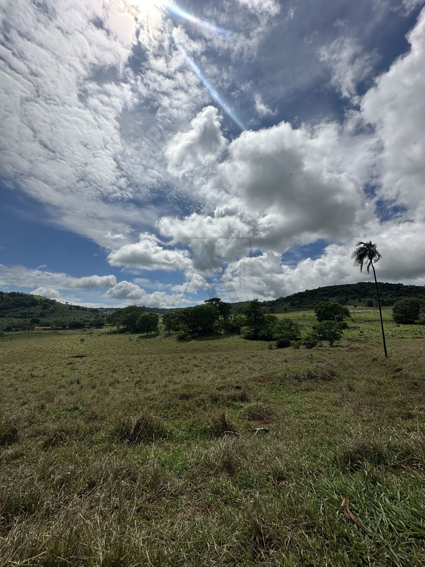 Chácara, 4 quartos, 10 hectares - Foto 2