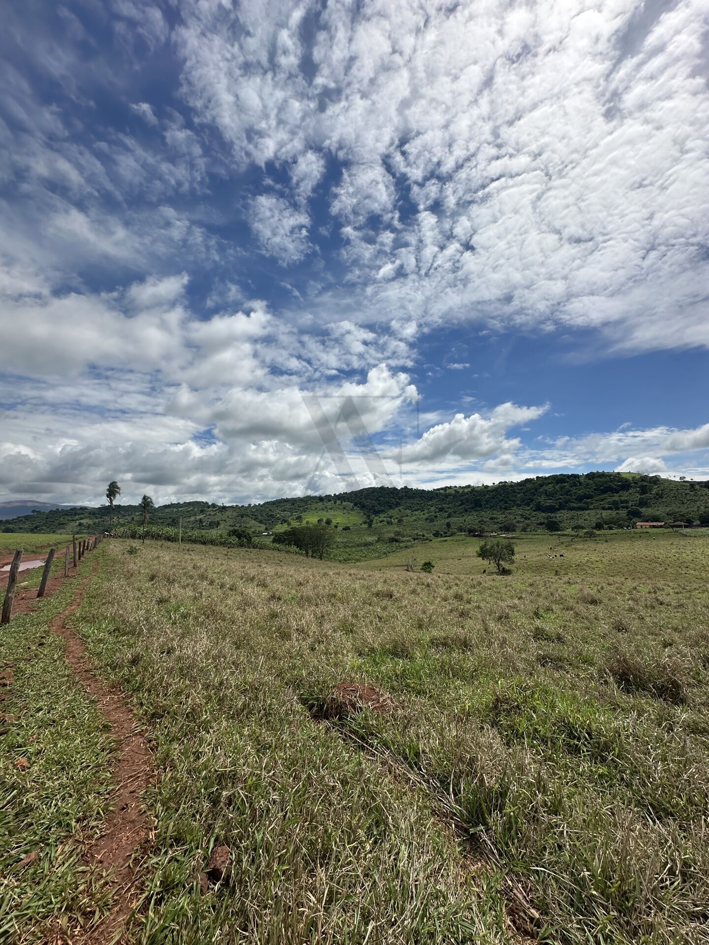 Chácara, 4 quartos, 10 hectares - Foto 35