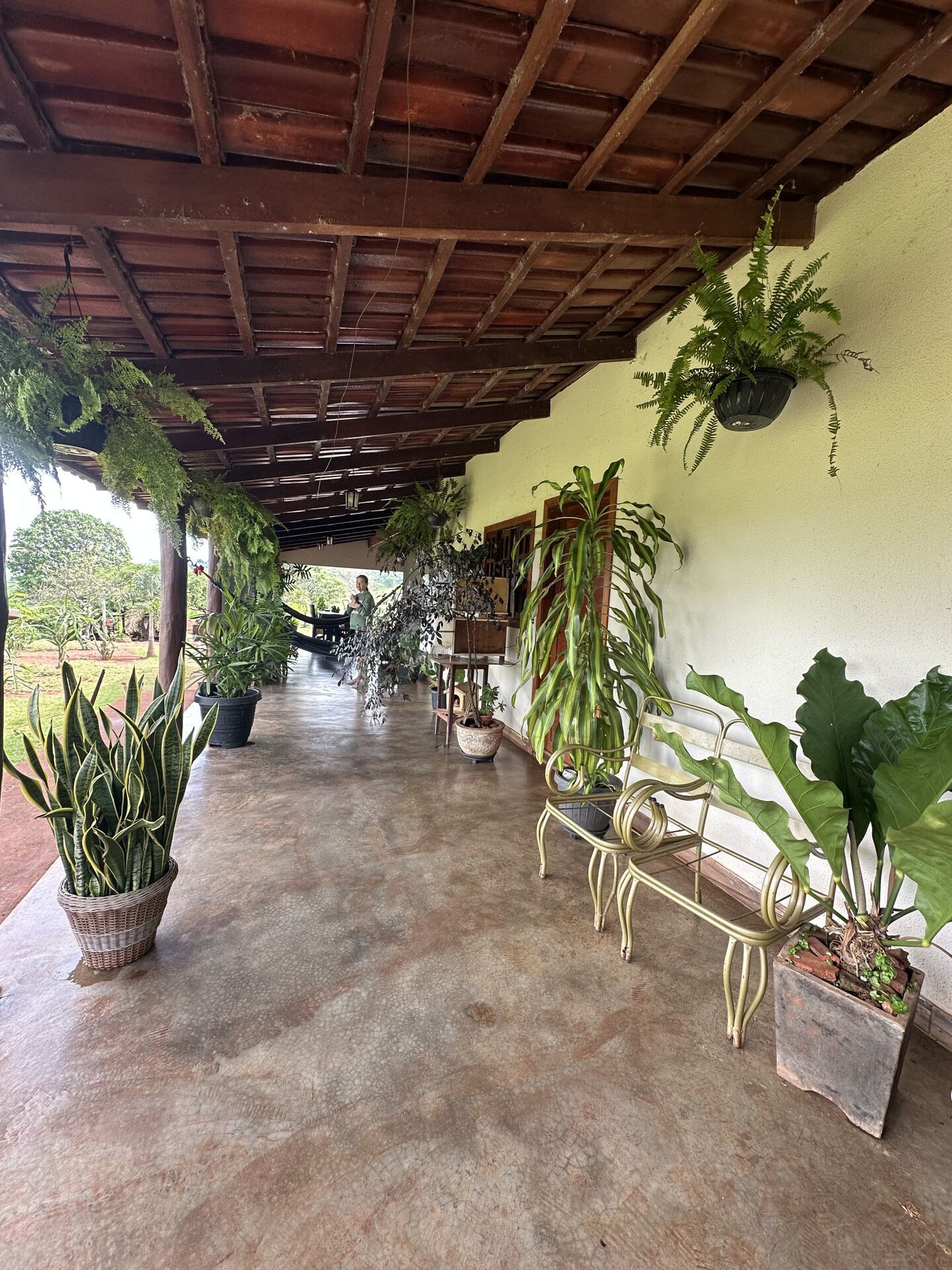 Chácara, 4 quartos, 10 hectares - Foto 16