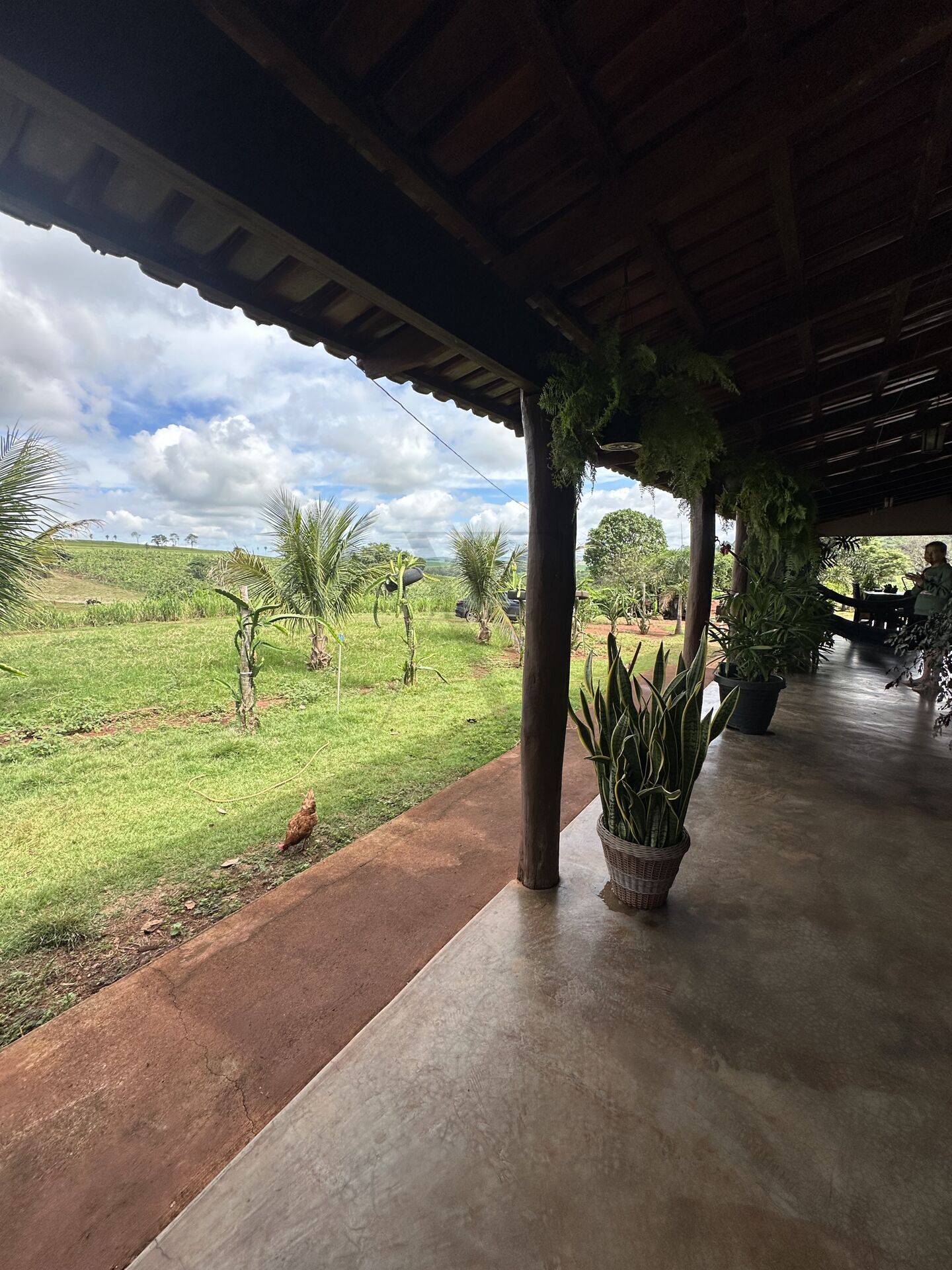 Chácara, 4 quartos, 10 hectares - Foto 3