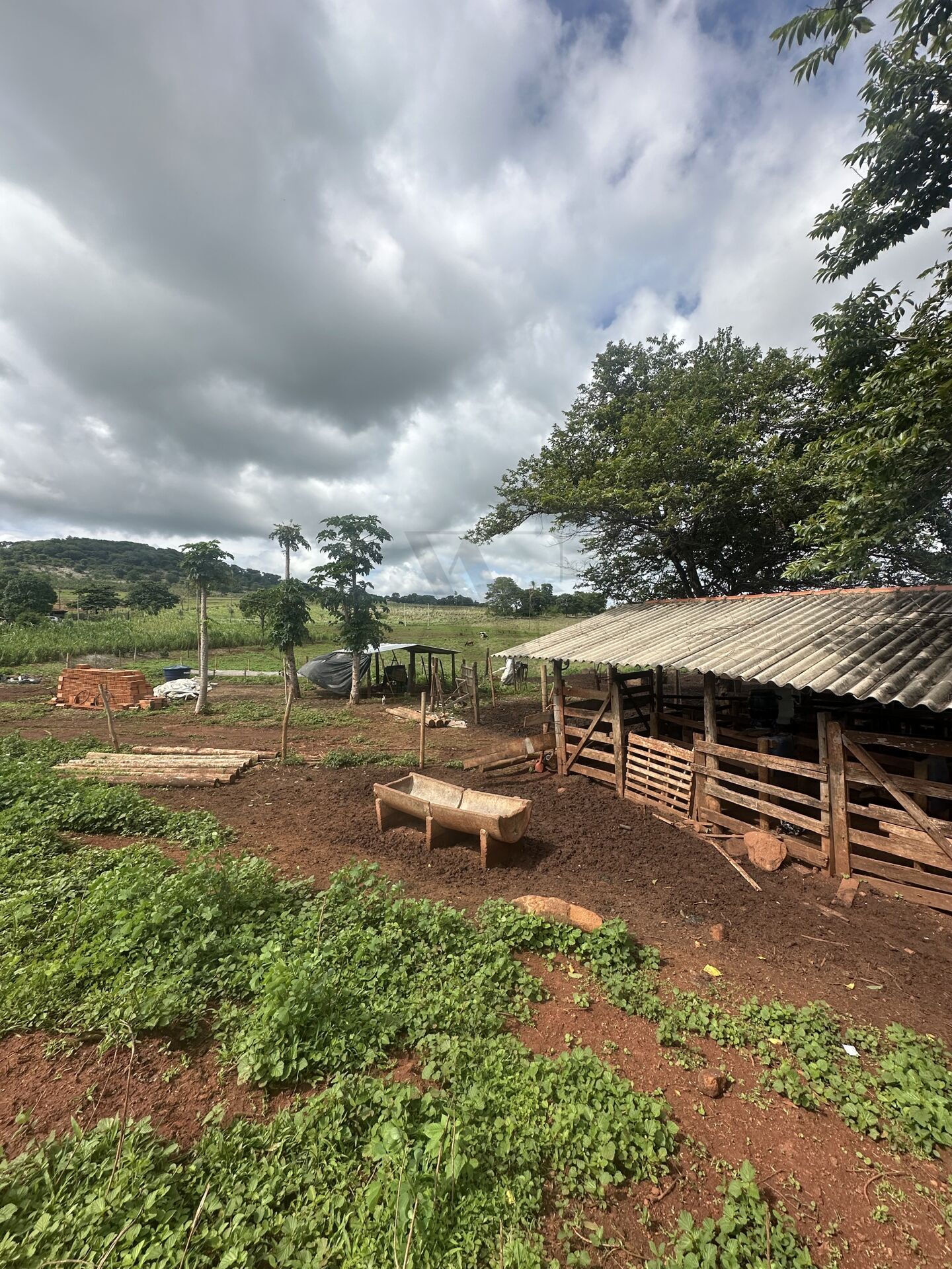 Chácara, 4 quartos, 10 hectares - Foto 8