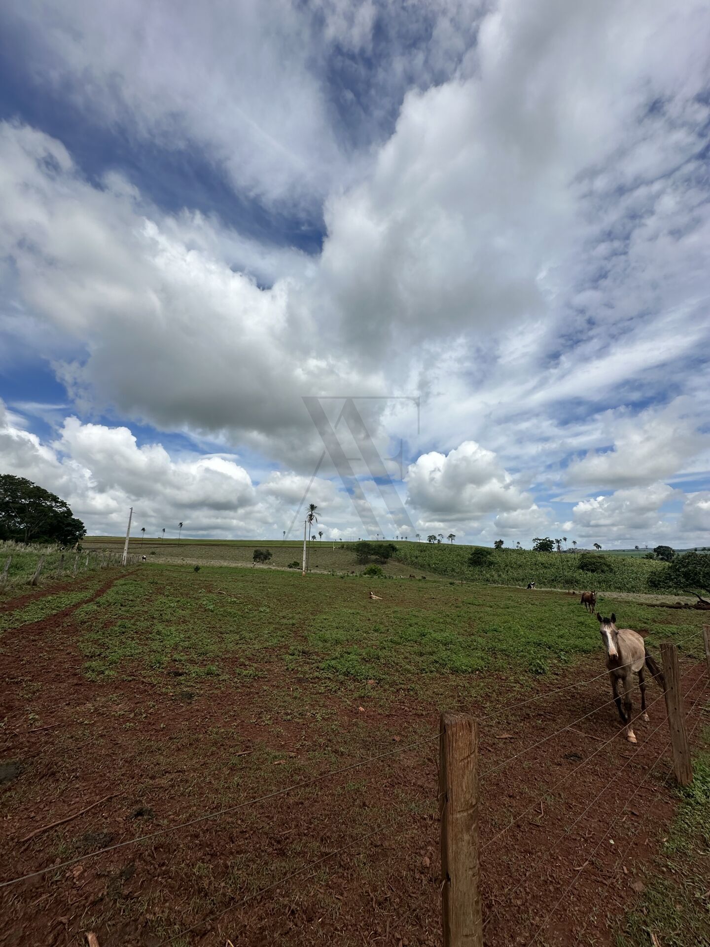 Chácara, 4 quartos, 10 hectares - Foto 31