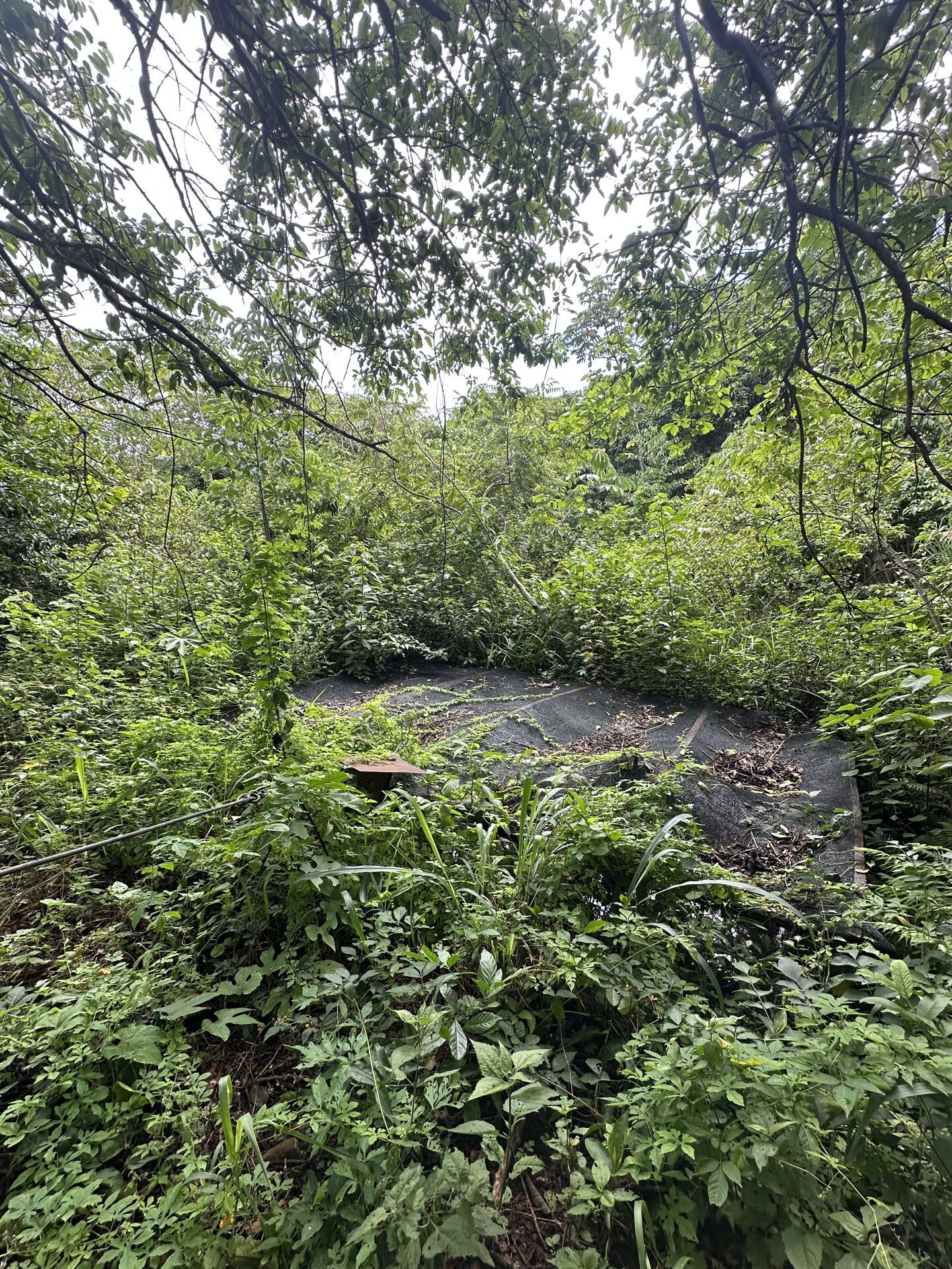 Chácara, 4 quartos, 10 hectares - Foto 12