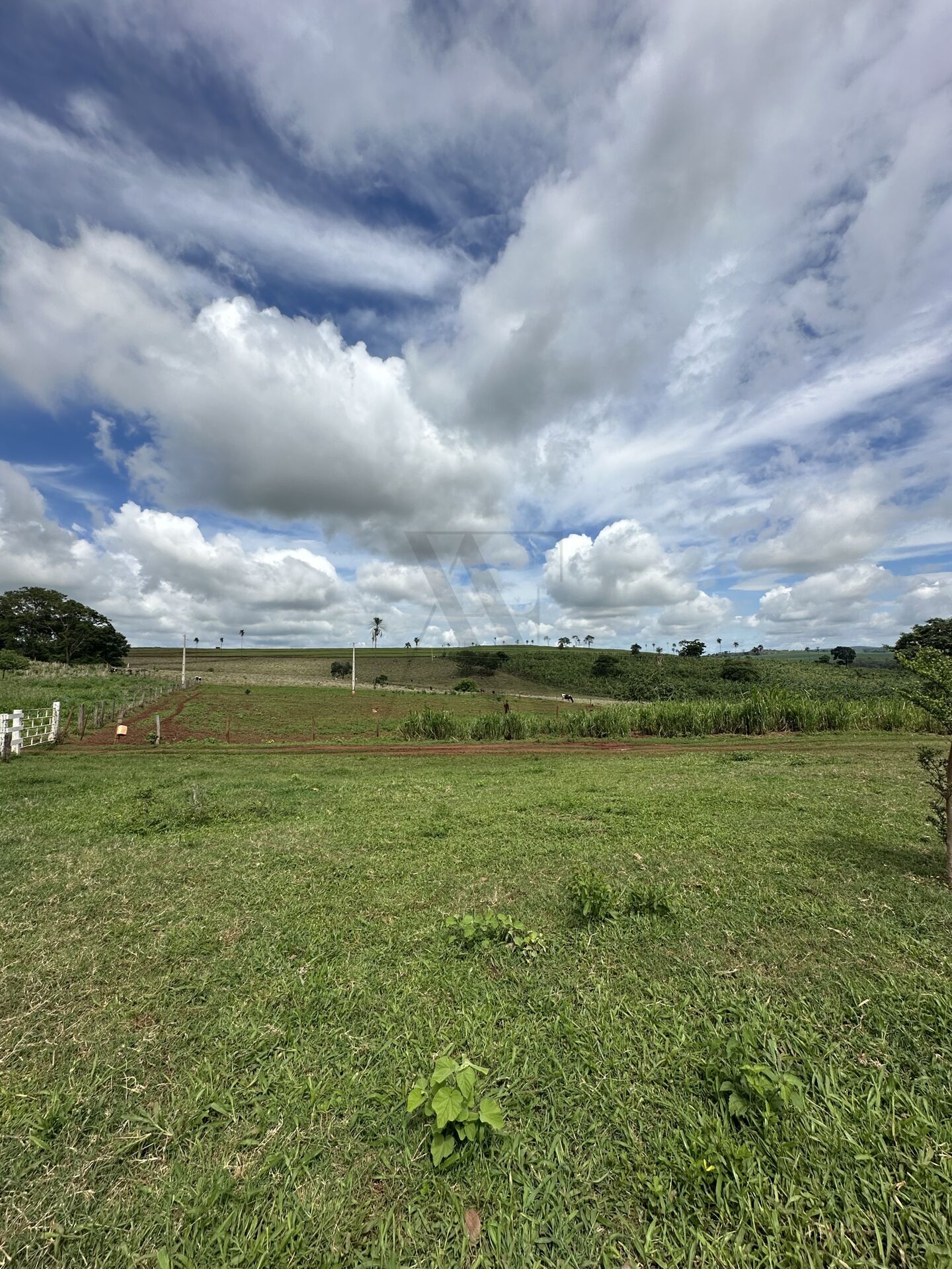 Chácara, 4 quartos, 10 hectares - Foto 30