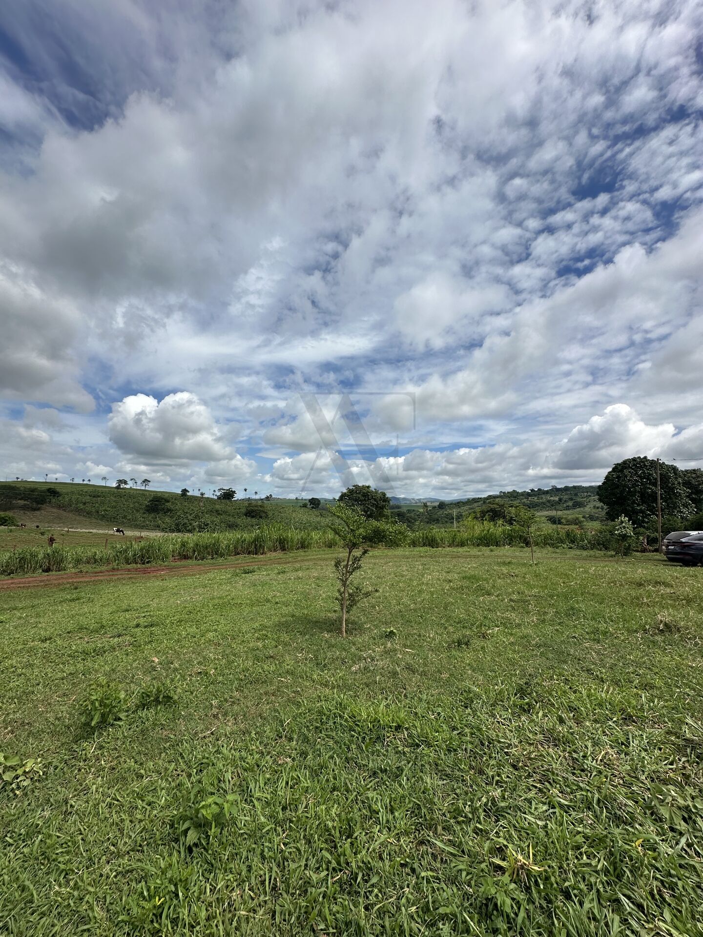 Chácara, 4 quartos, 10 hectares - Foto 32