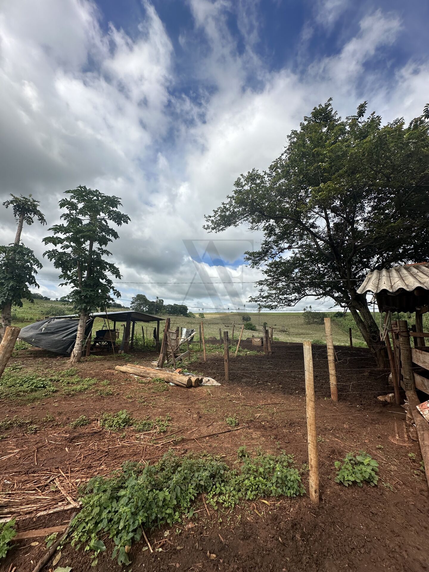 Chácara, 4 quartos, 10 hectares - Foto 11