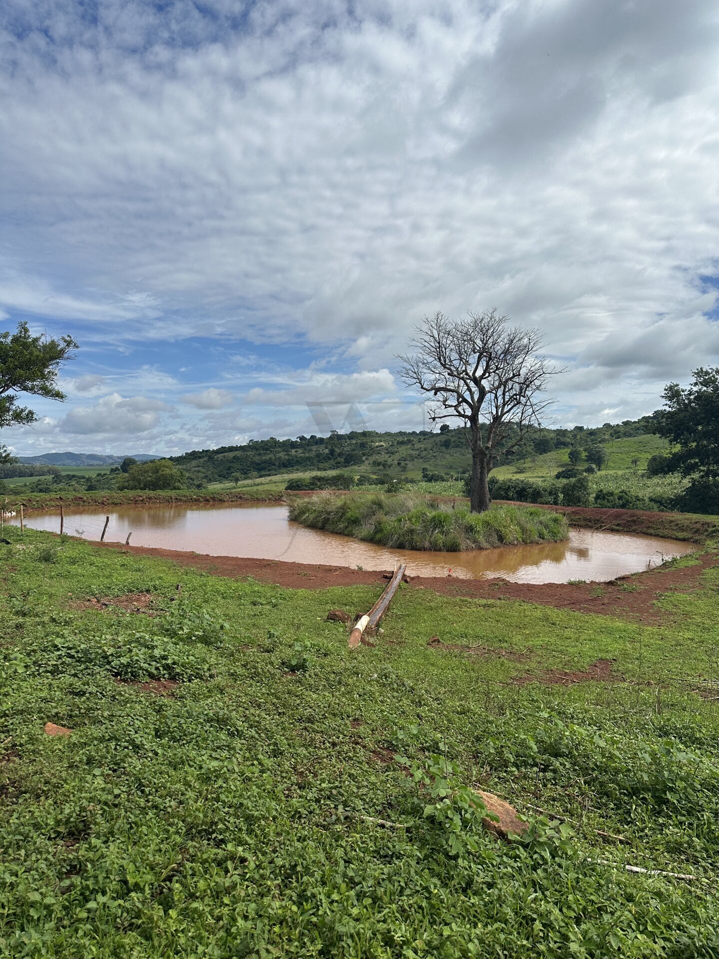 Chácara, 4 quartos, 10 hectares - Foto 5